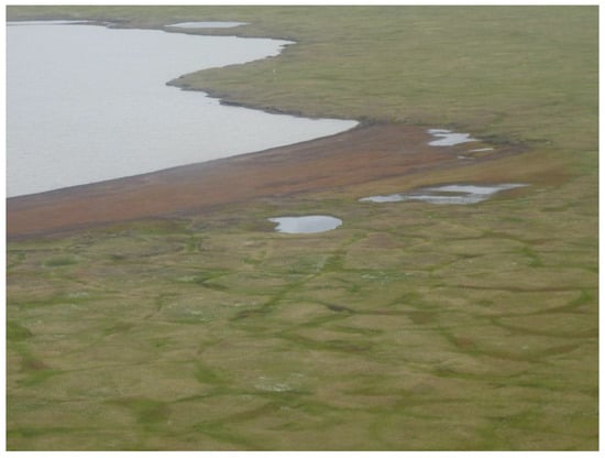 Remotesensing 09 00640 g013 550