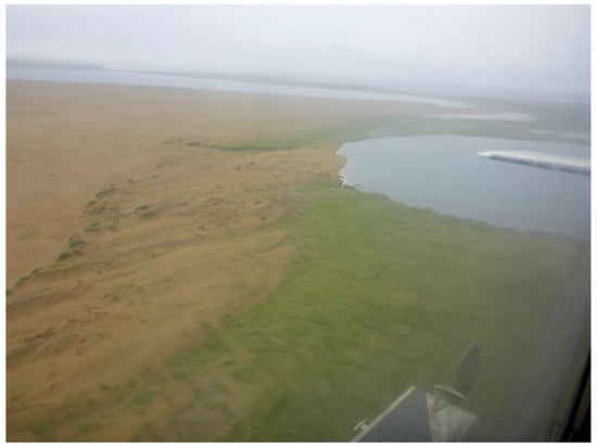 Remotesensing 09 00640 g015 550