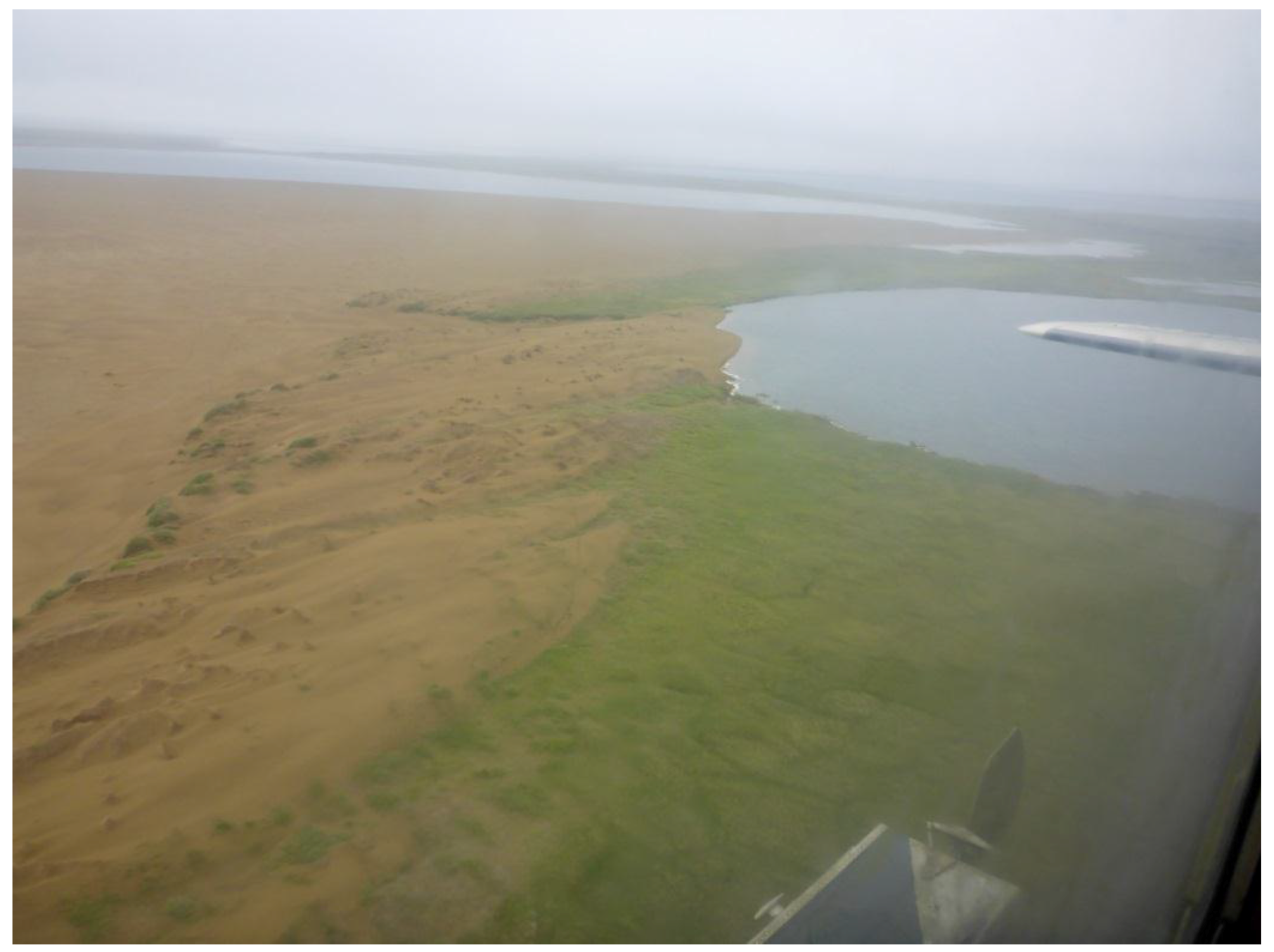 Remotesensing 09 00640 g015