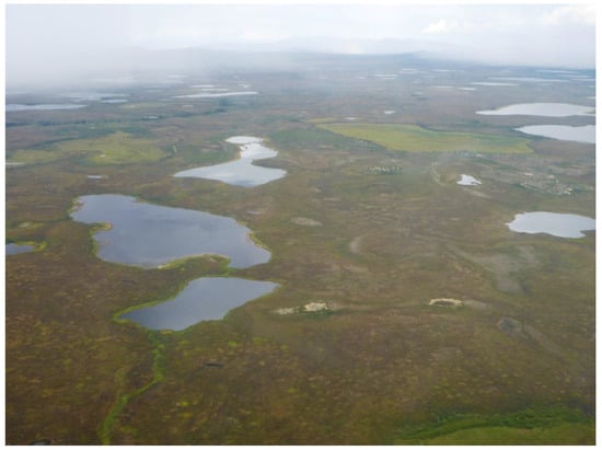 Remotesensing 09 00640 g016 550