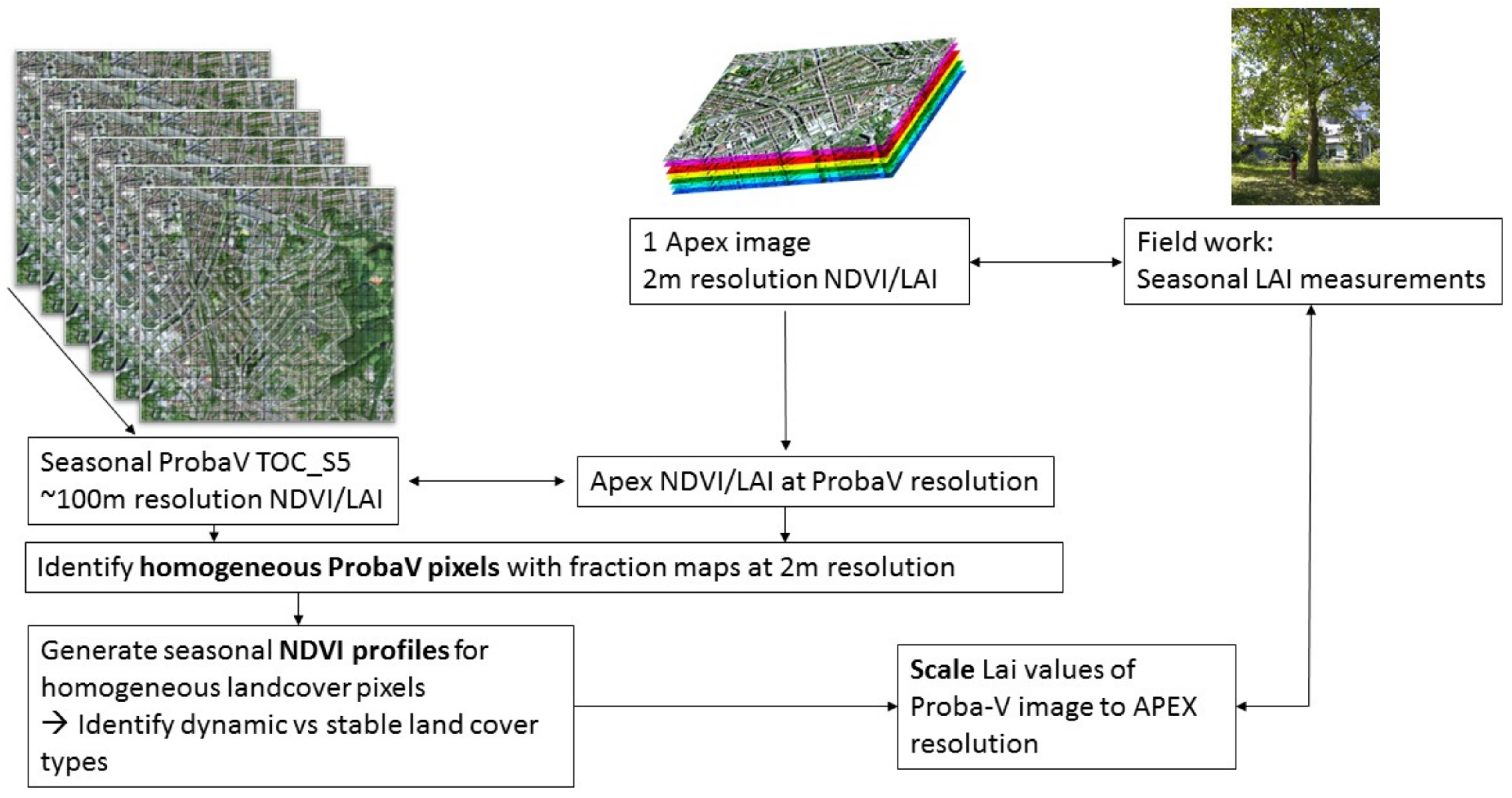 Remotesensing 09 00645 g003