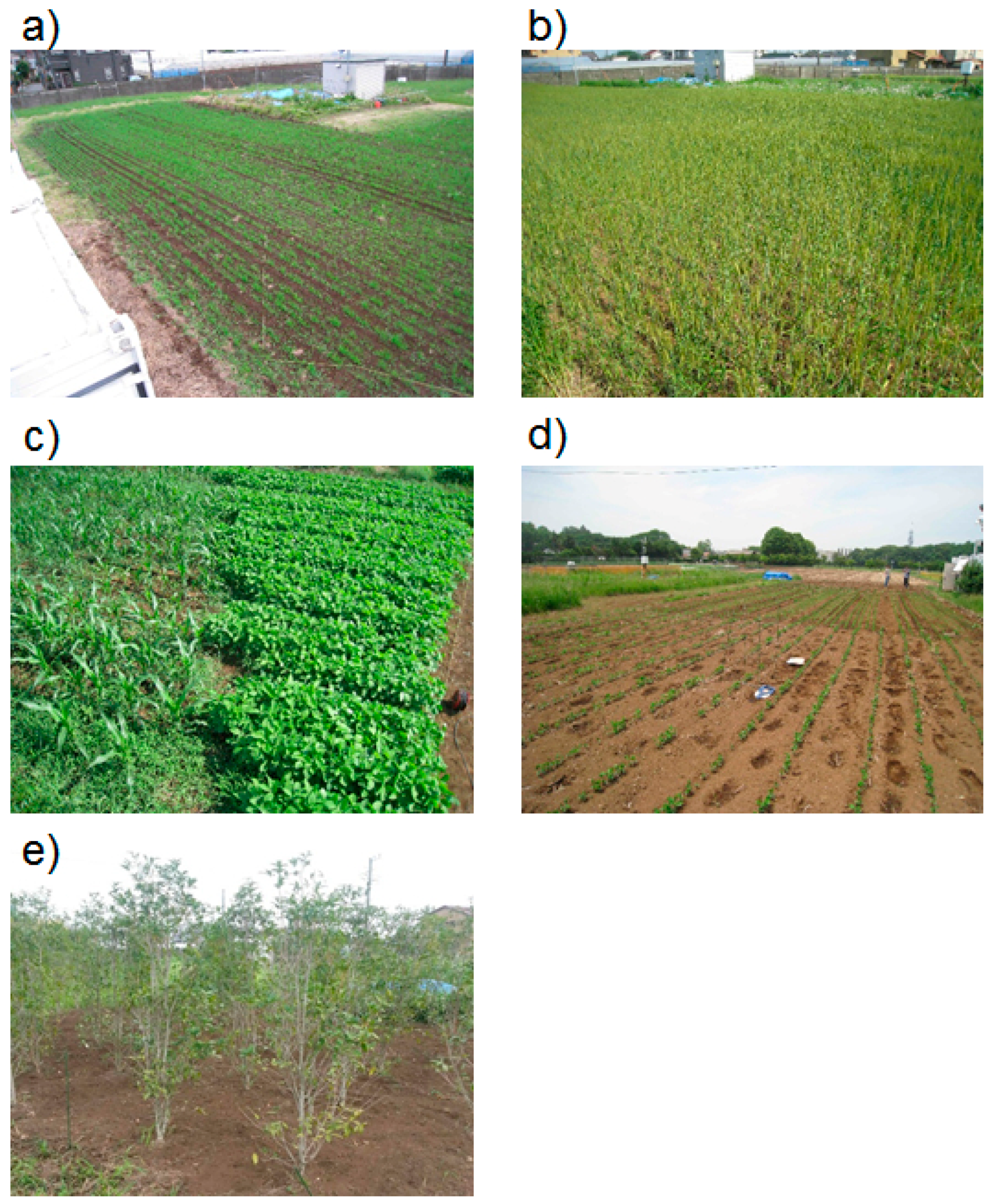 Remotesensing 09 00655 g002