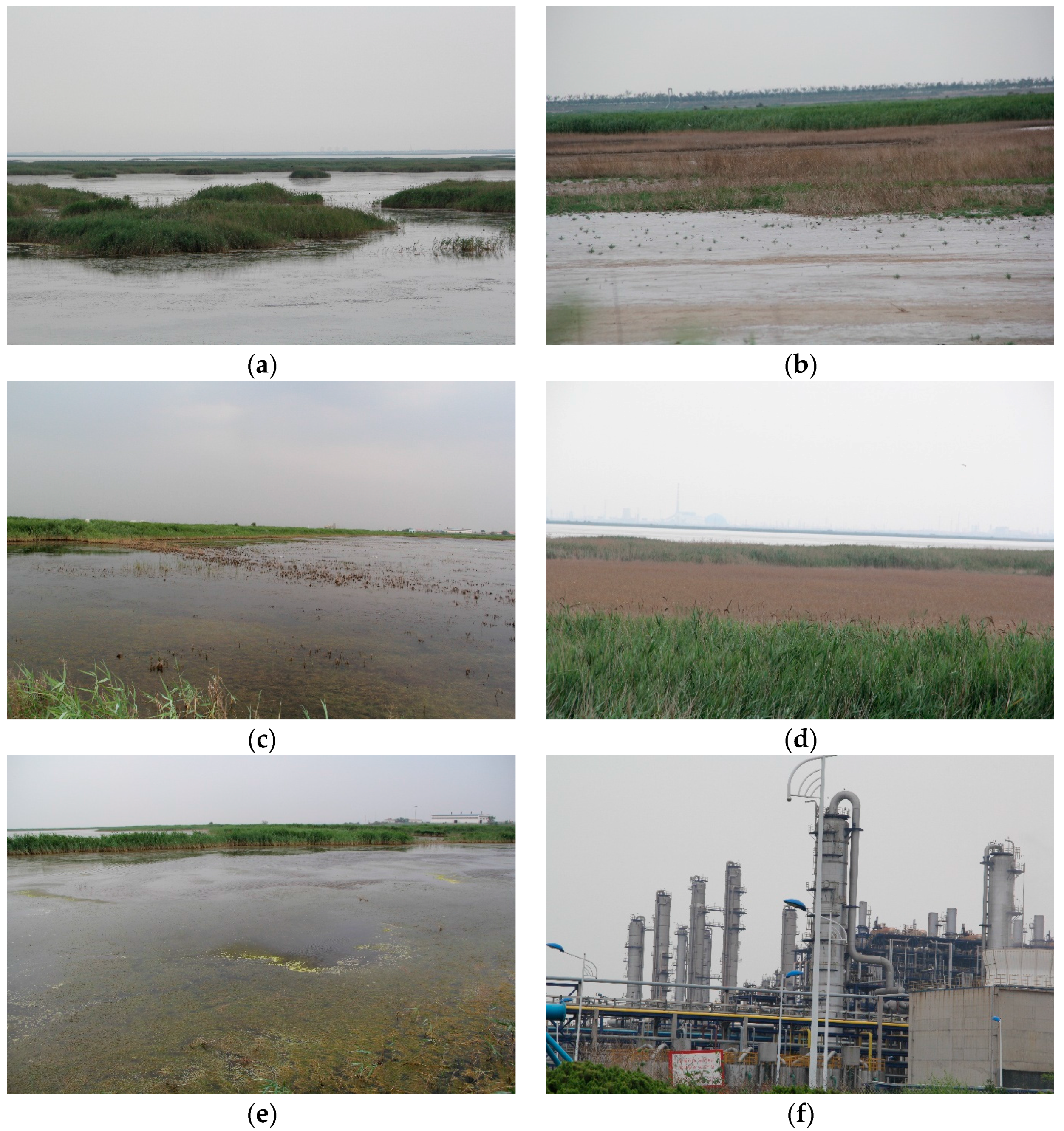 Remotesensing 09 00683 g002