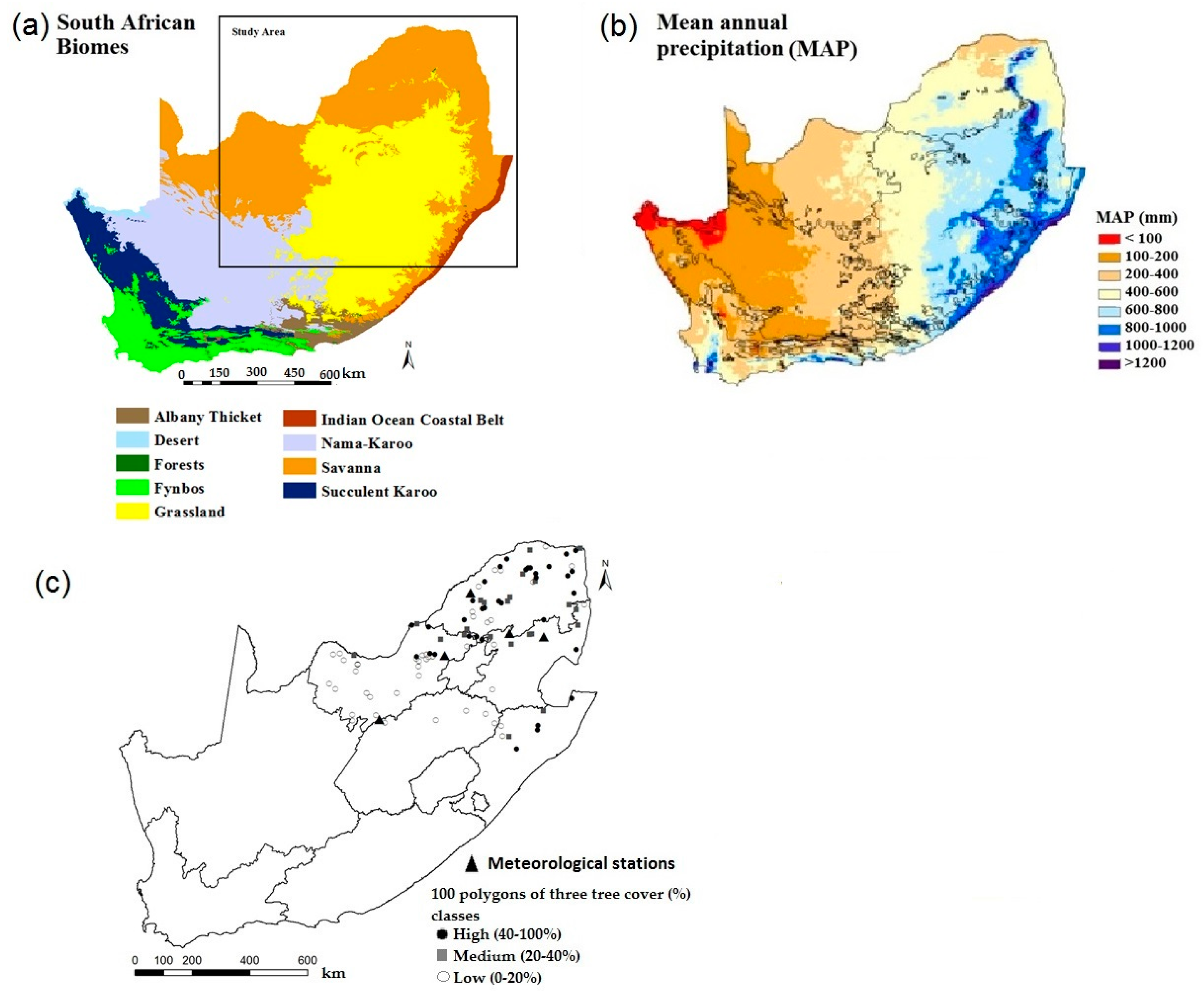 Remotesensing 09 00689 g001