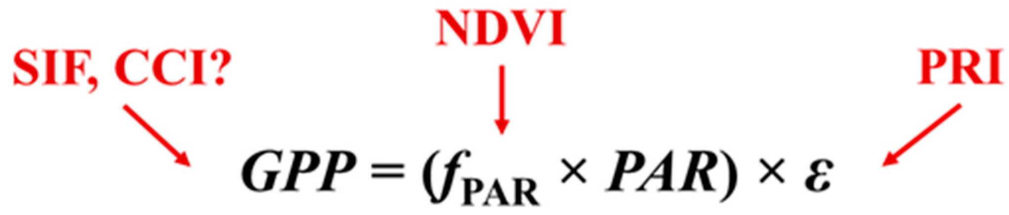 Remotesensing 09 00691 g001