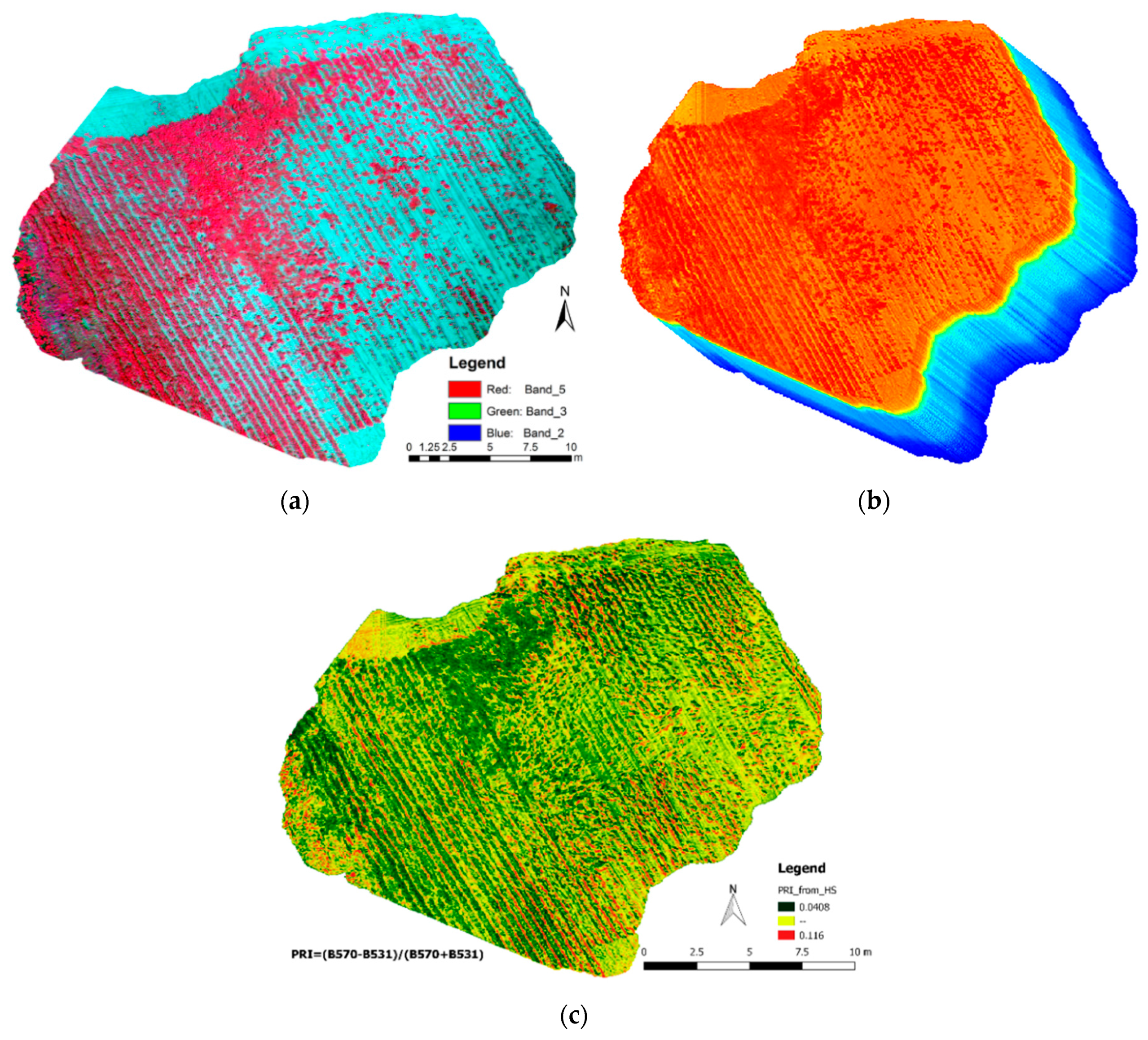 Remotesensing 09 00696 g010