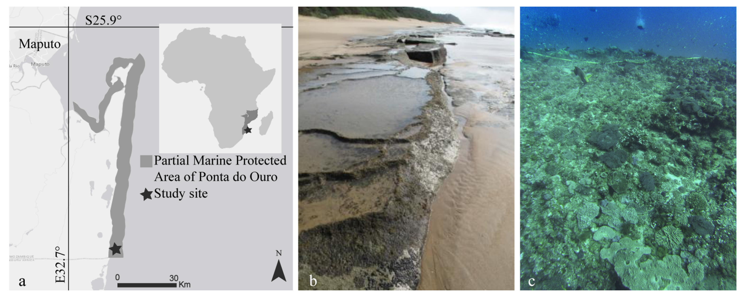 Remotesensing 09 00705 g001