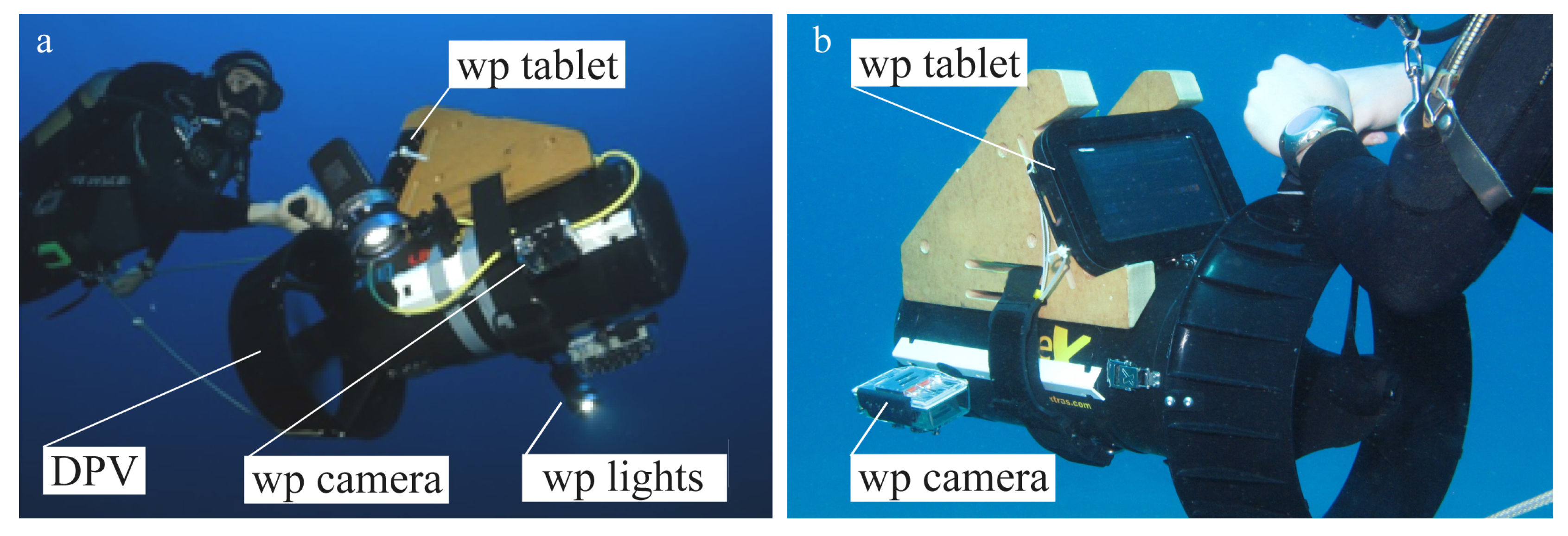 Remotesensing 09 00705 g002
