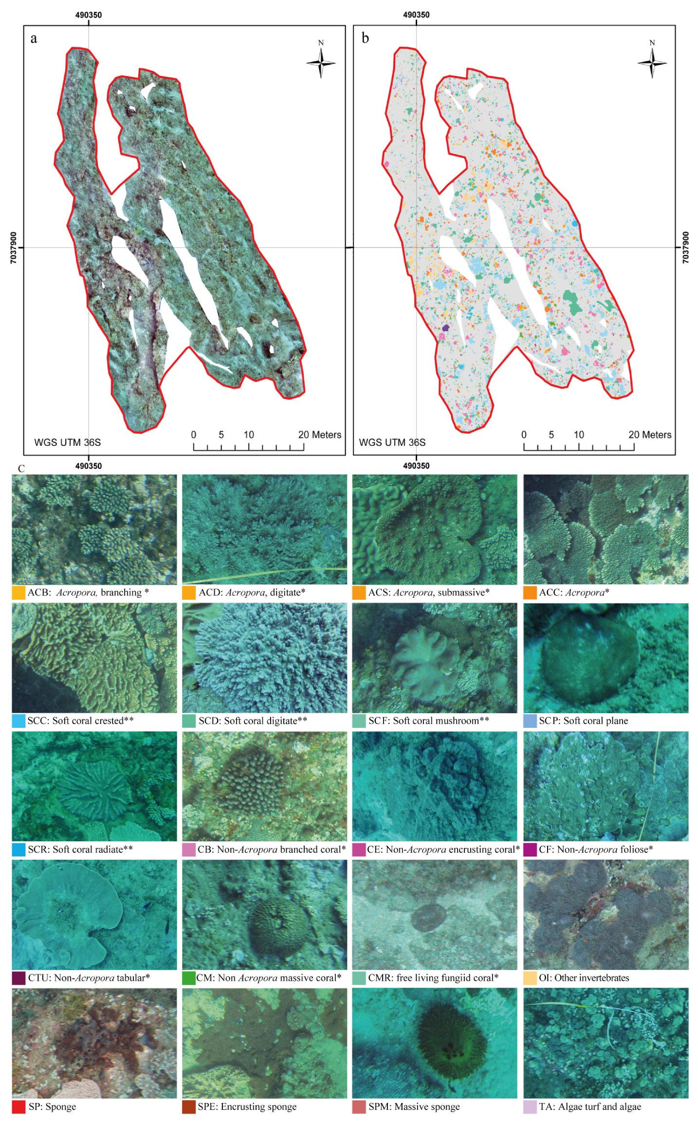 Remotesensing 09 00705 g004