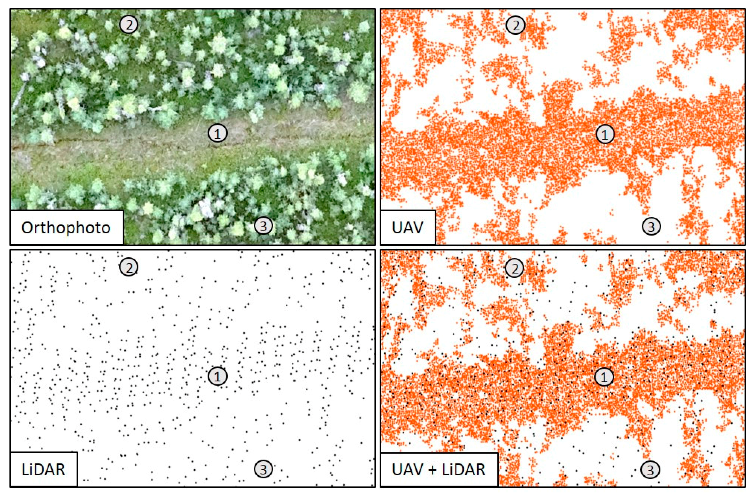 Remotesensing 09 00715 g005
