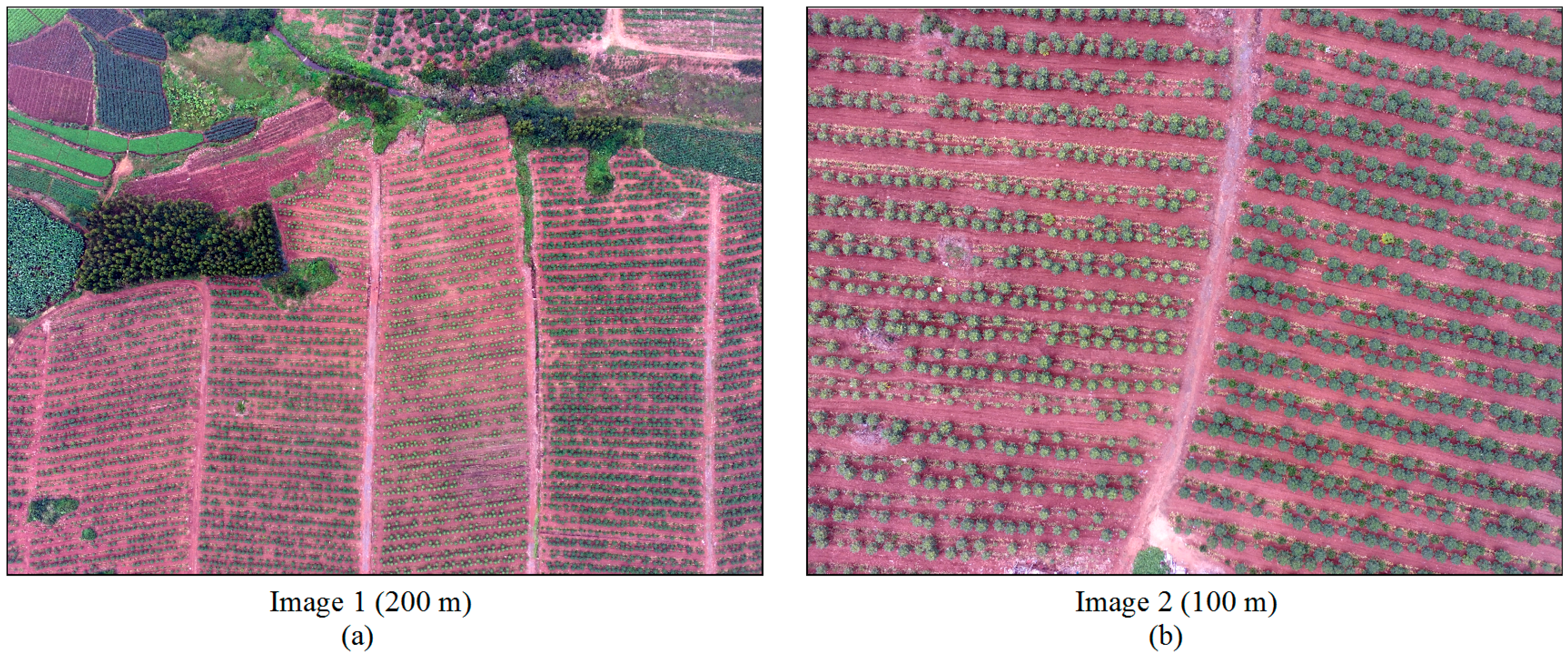 Remotesensing 09 00721 g001