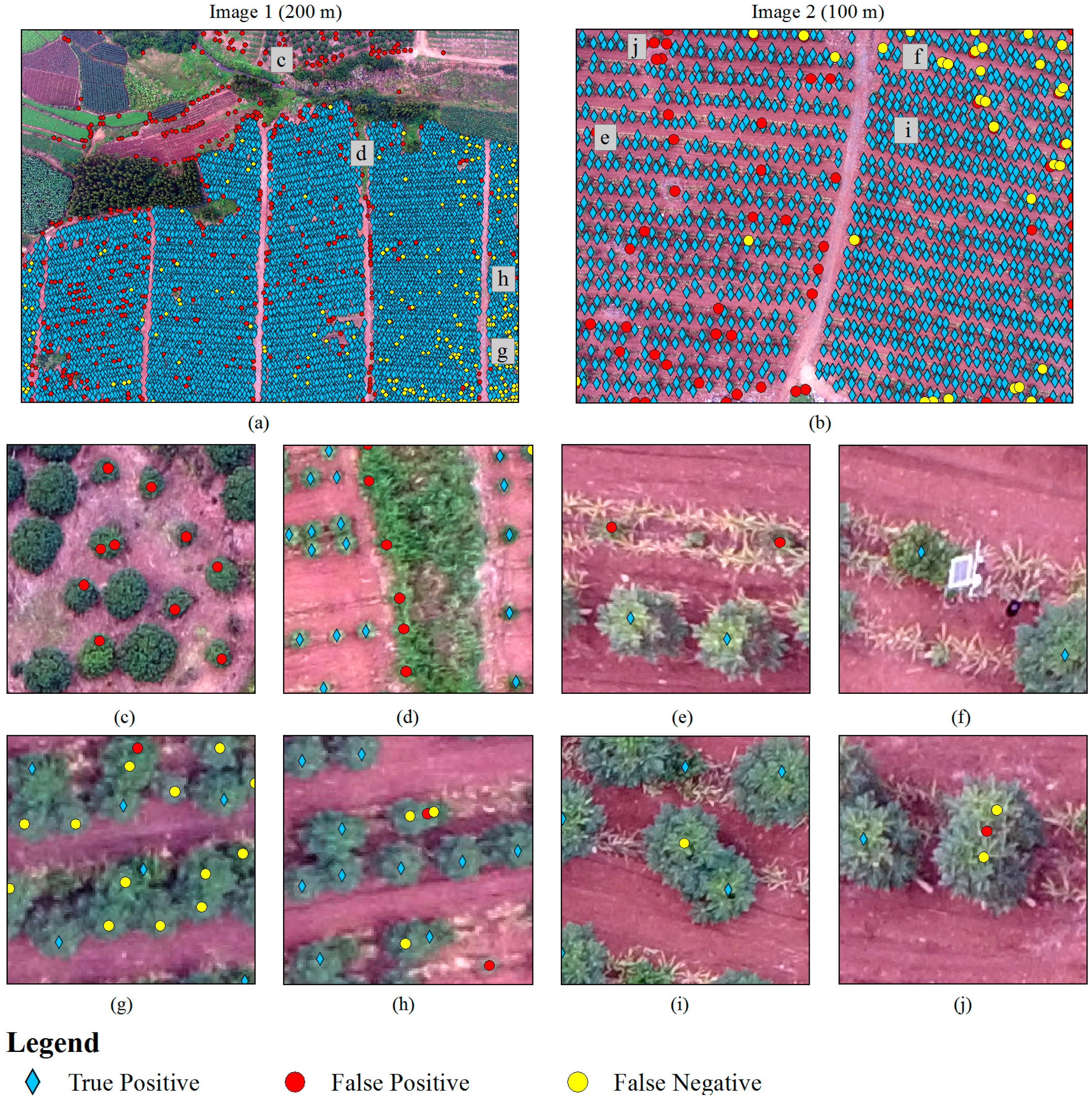 Remotesensing 09 00721 g004