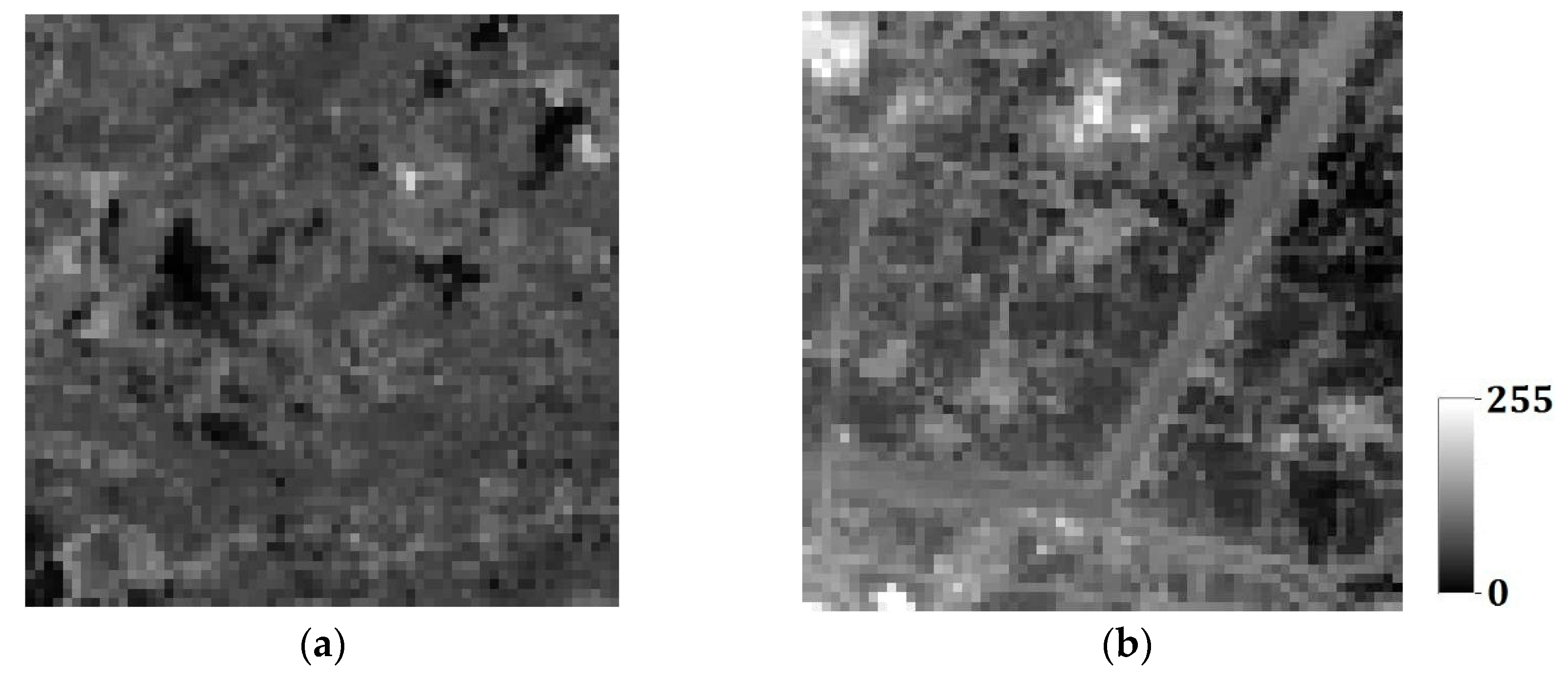 Remotesensing 09 00724 g020