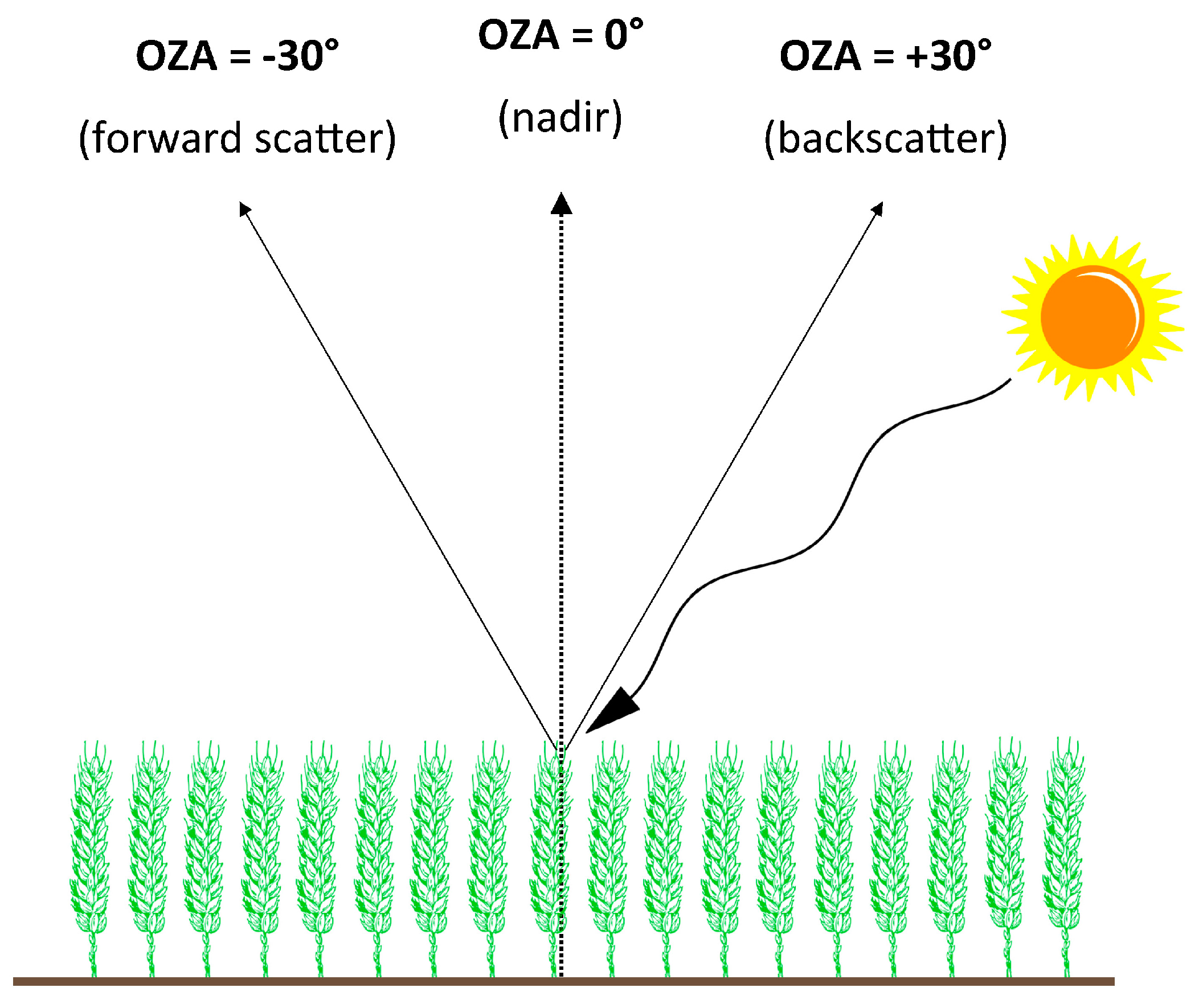 Remotesensing 09 00726 g001