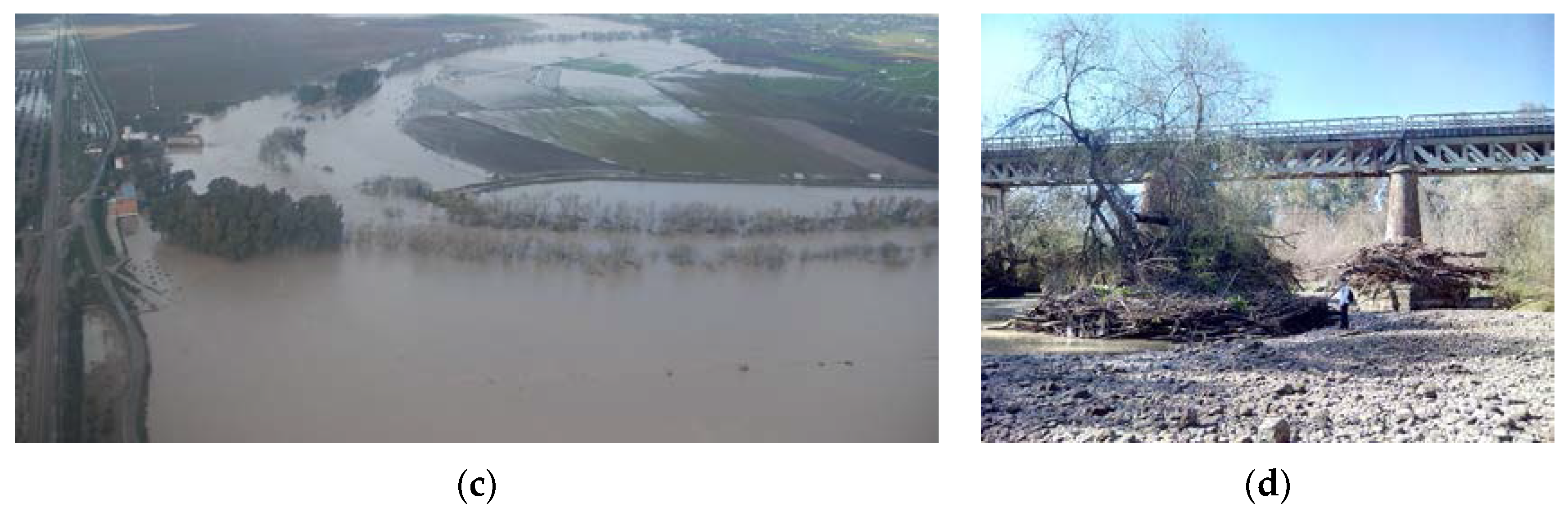 Remotesensing 09 00727 g004b