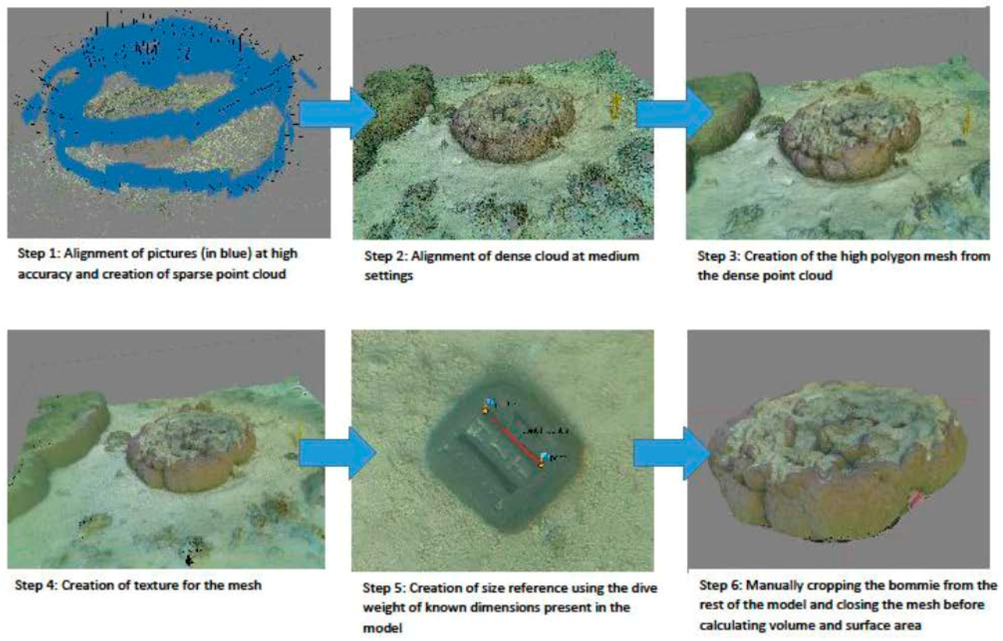 Remotesensing 09 00740 g001