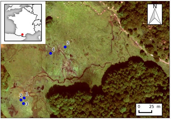 Remotesensing 09 00748 g017