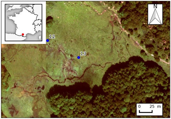 Remotesensing 09 00748 g027