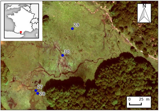 Remotesensing 09 00748 g039