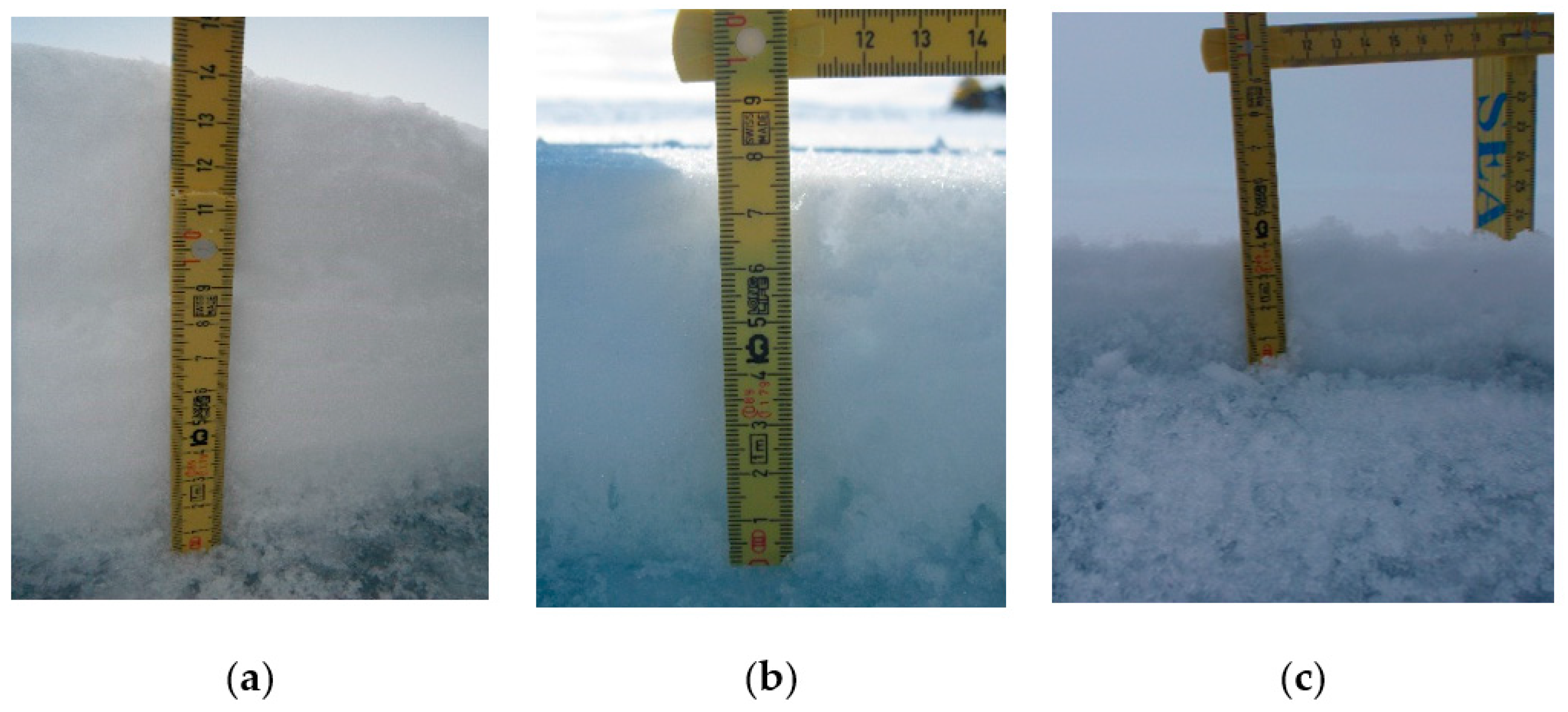 Remotesensing 09 00757 g004