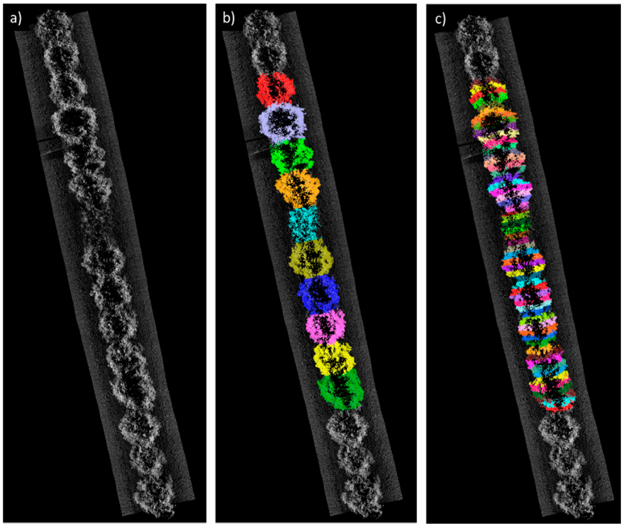 Remotesensing 09 00763 g004