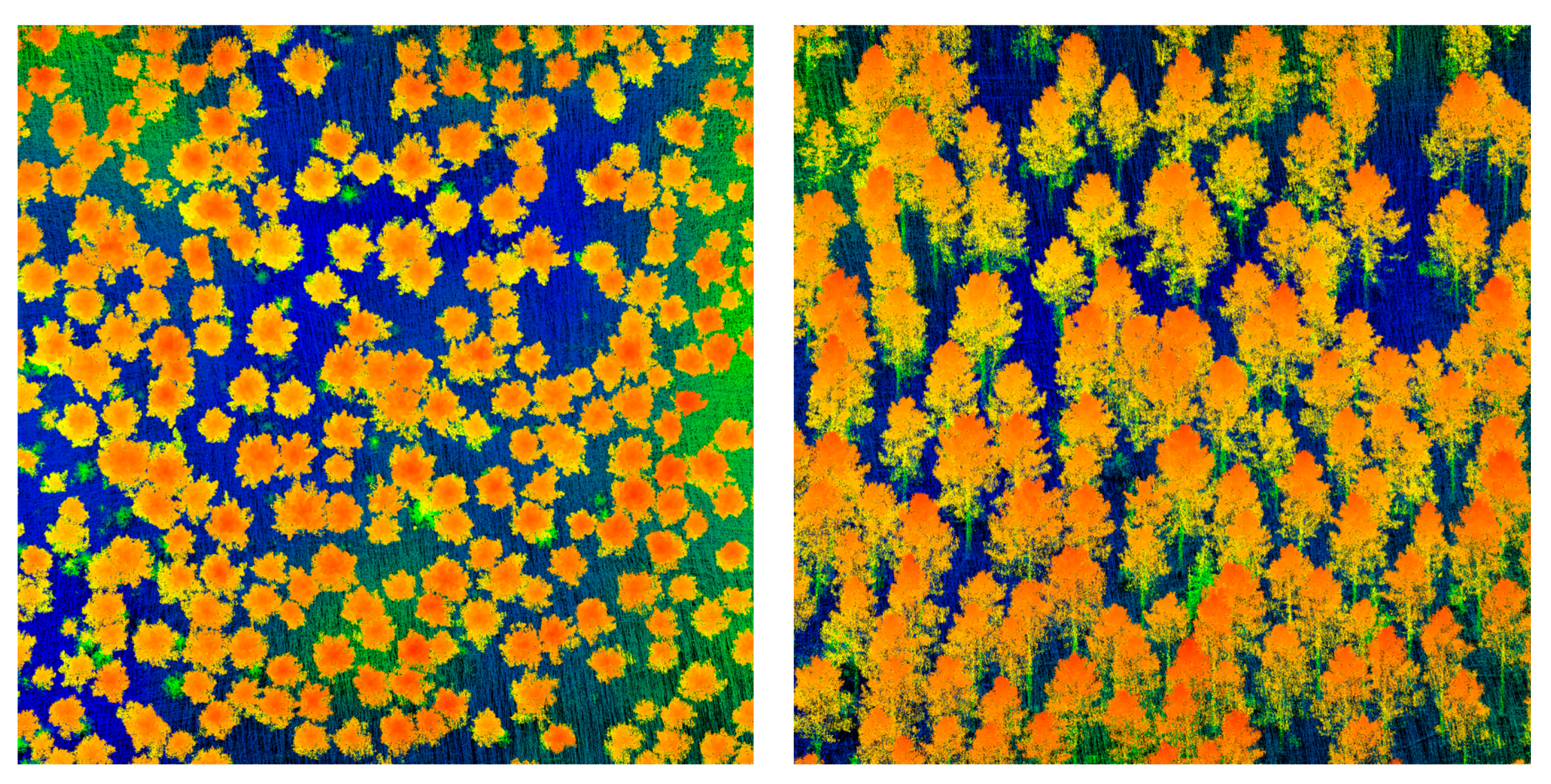 Remotesensing 09 00785 g002