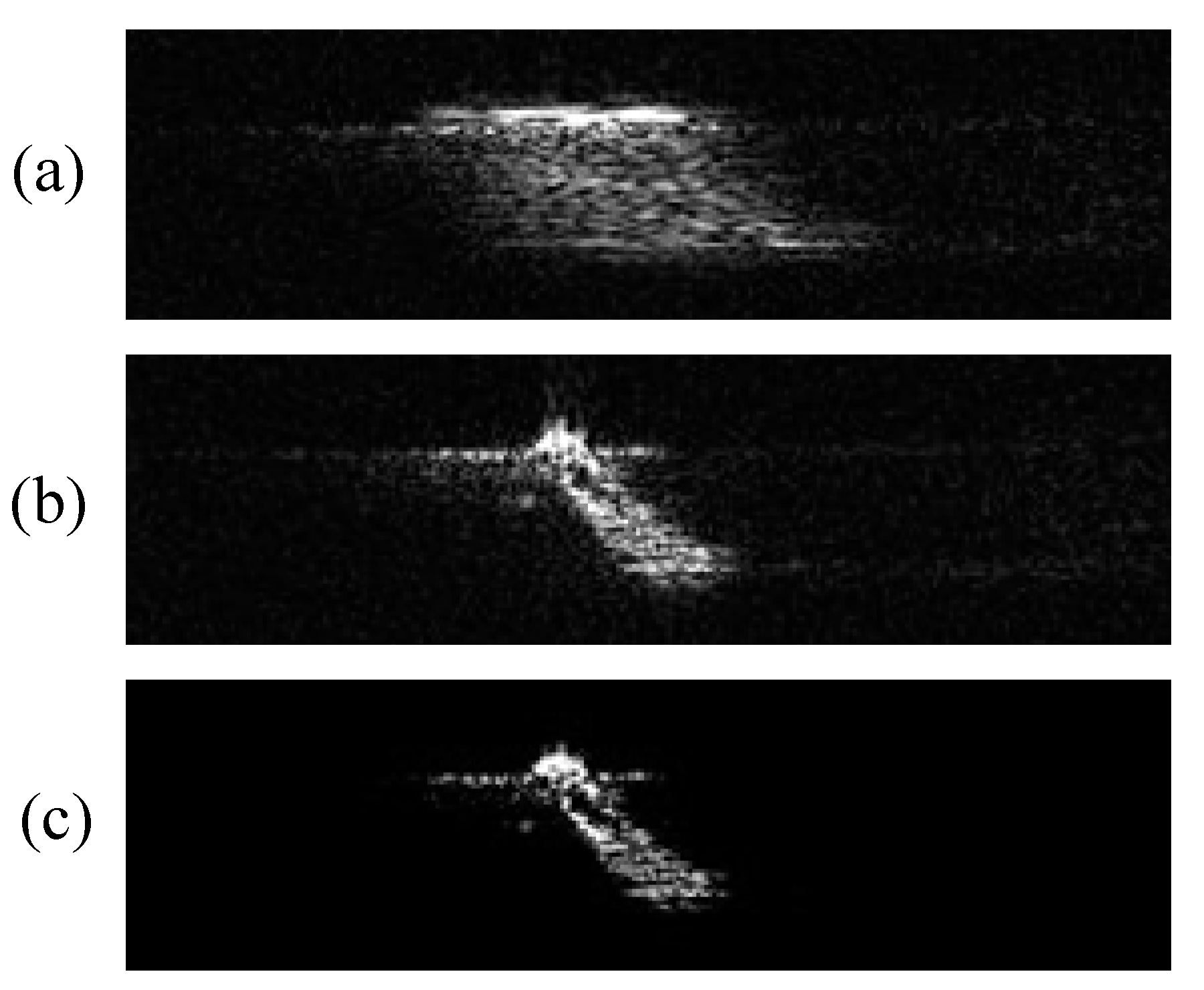 Remotesensing 09 00795 g014