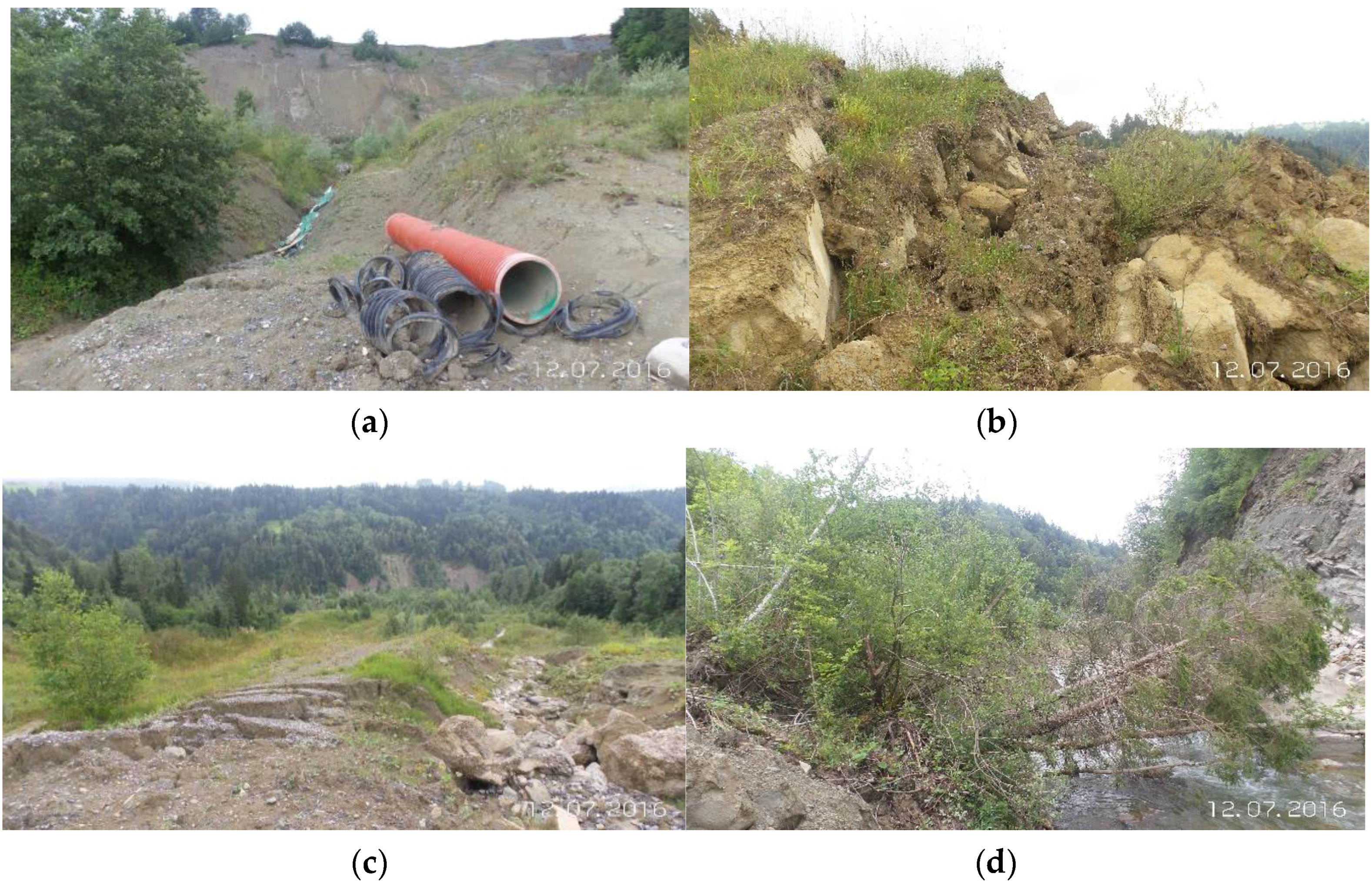 Remotesensing 09 00805 g004