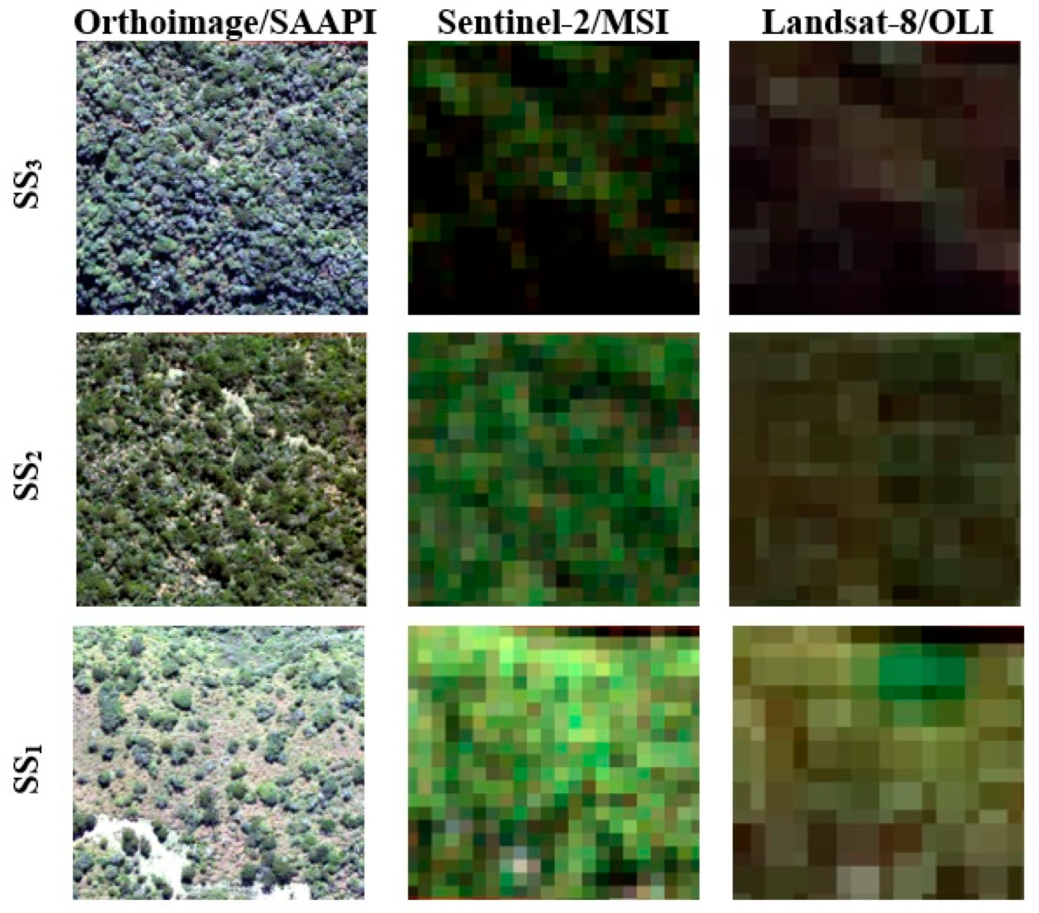 Remotesensing 09 00838 g003