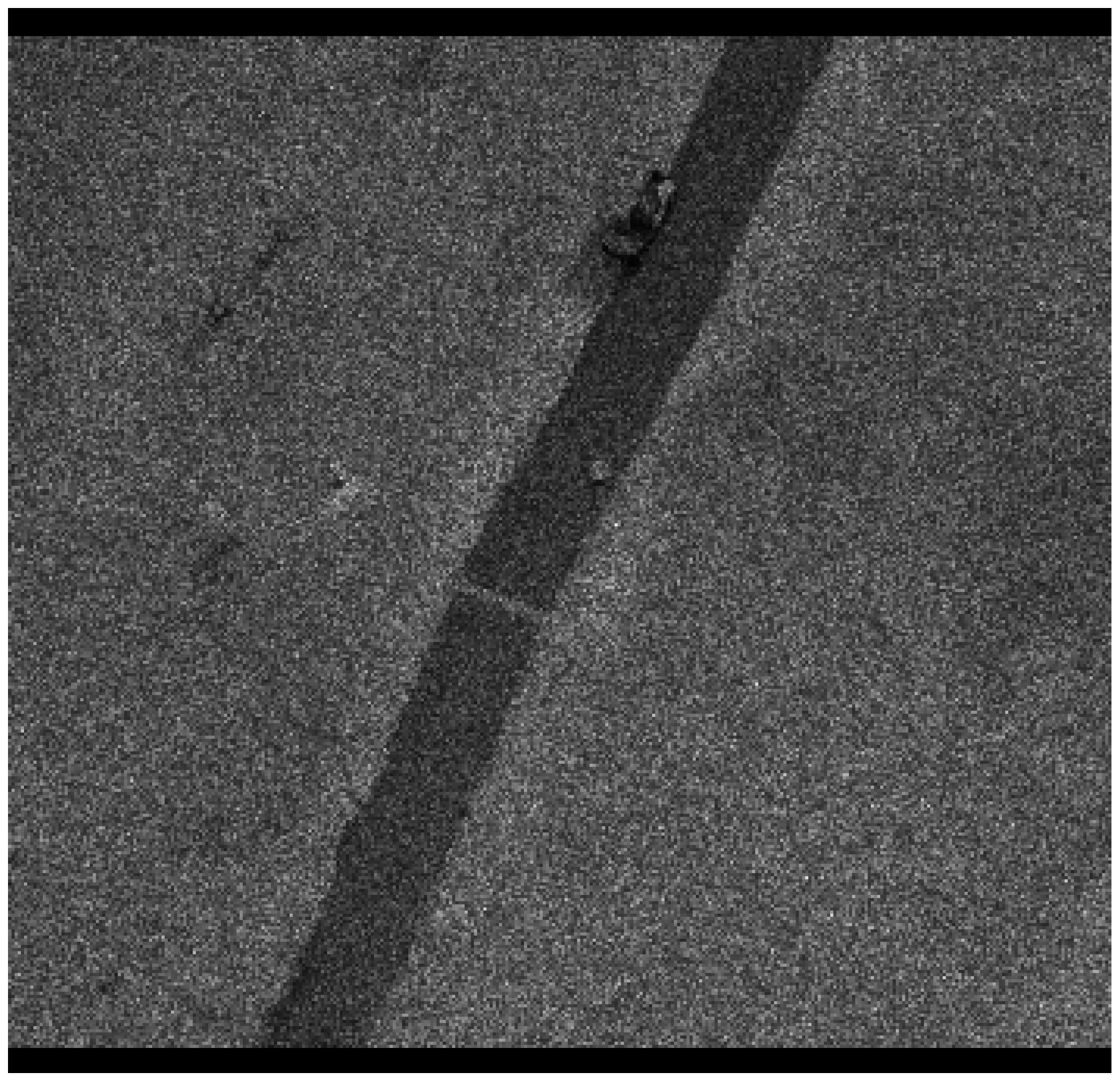 Remotesensing 09 01009 g004