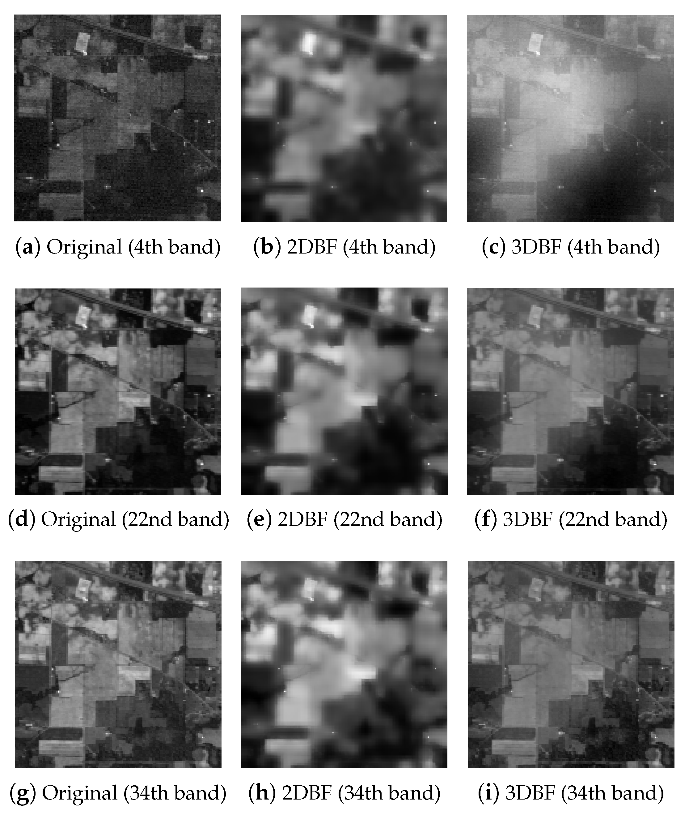 Remotesensing 09 01042 g010