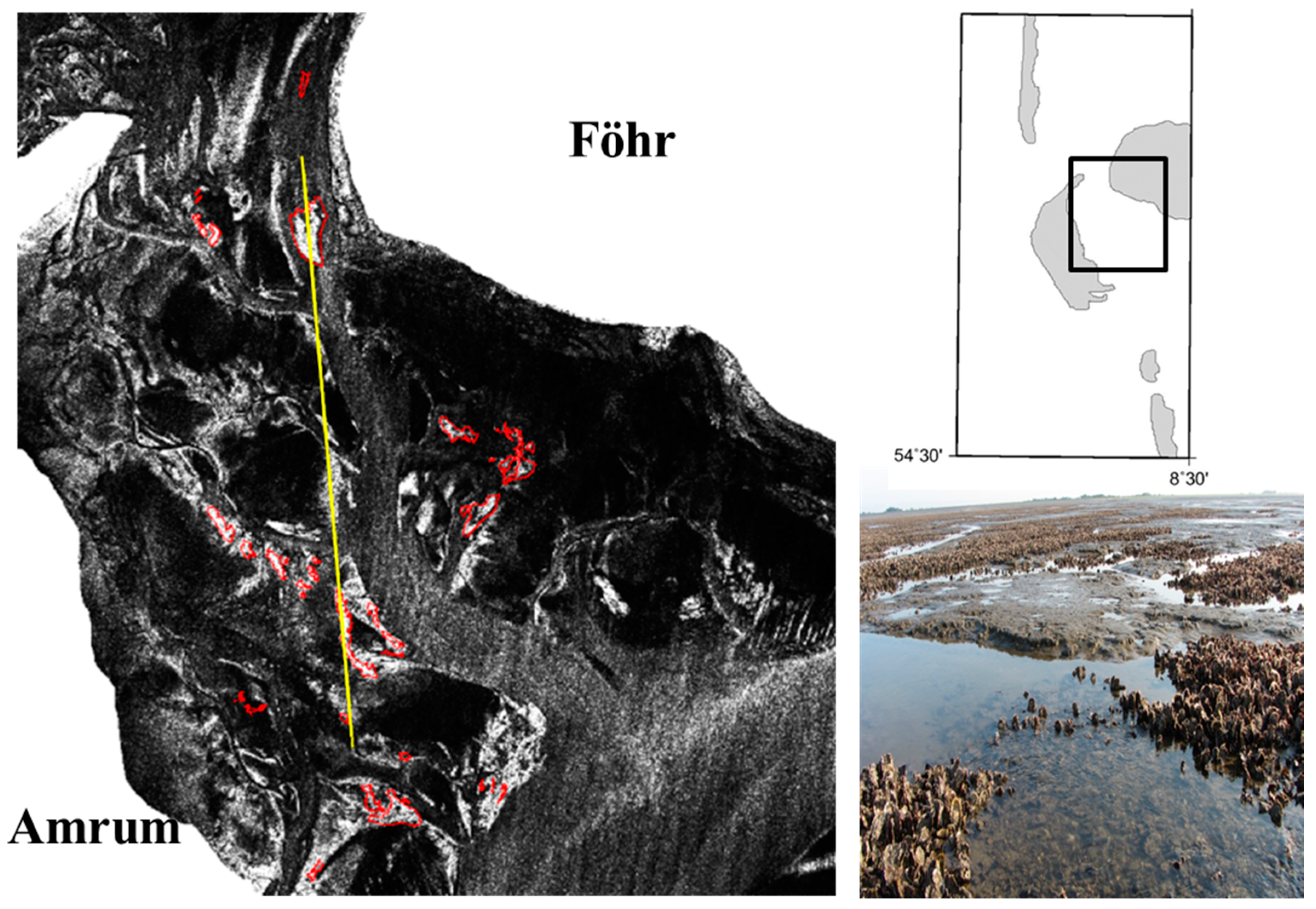 Remotesensing 09 01047 g003