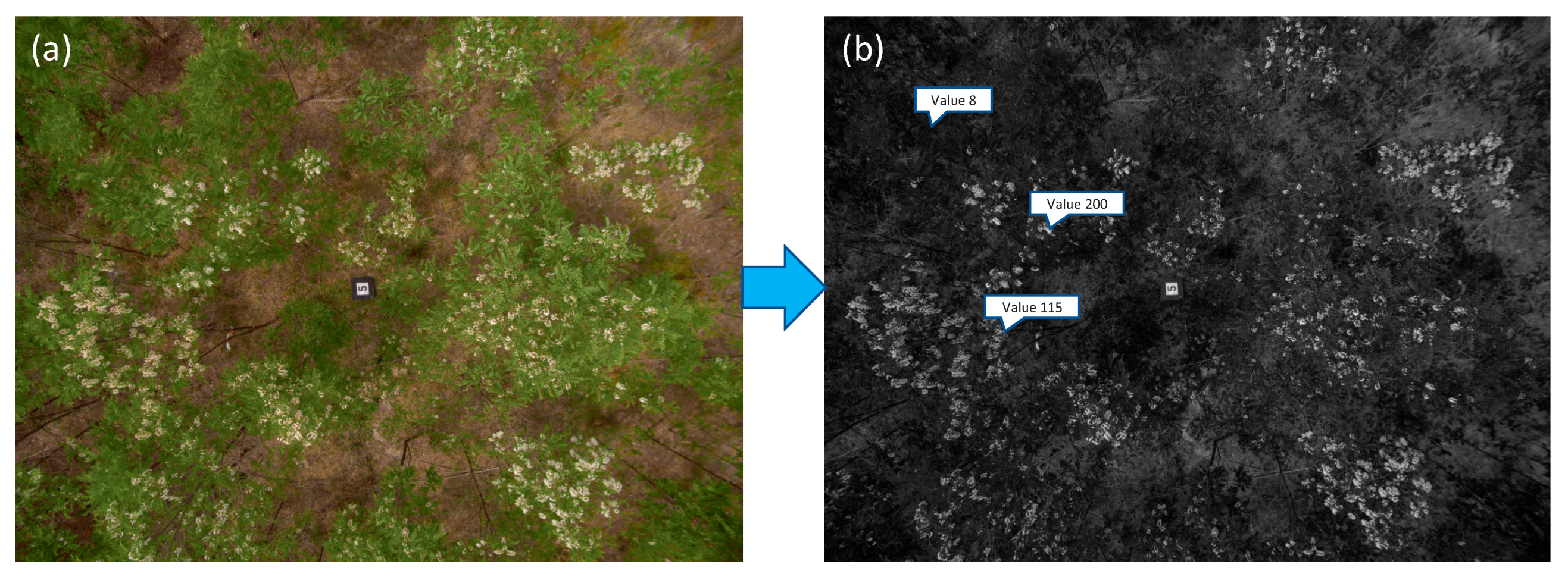 Remotesensing 09 01091 g002 Remotesensing 09 01091 g002