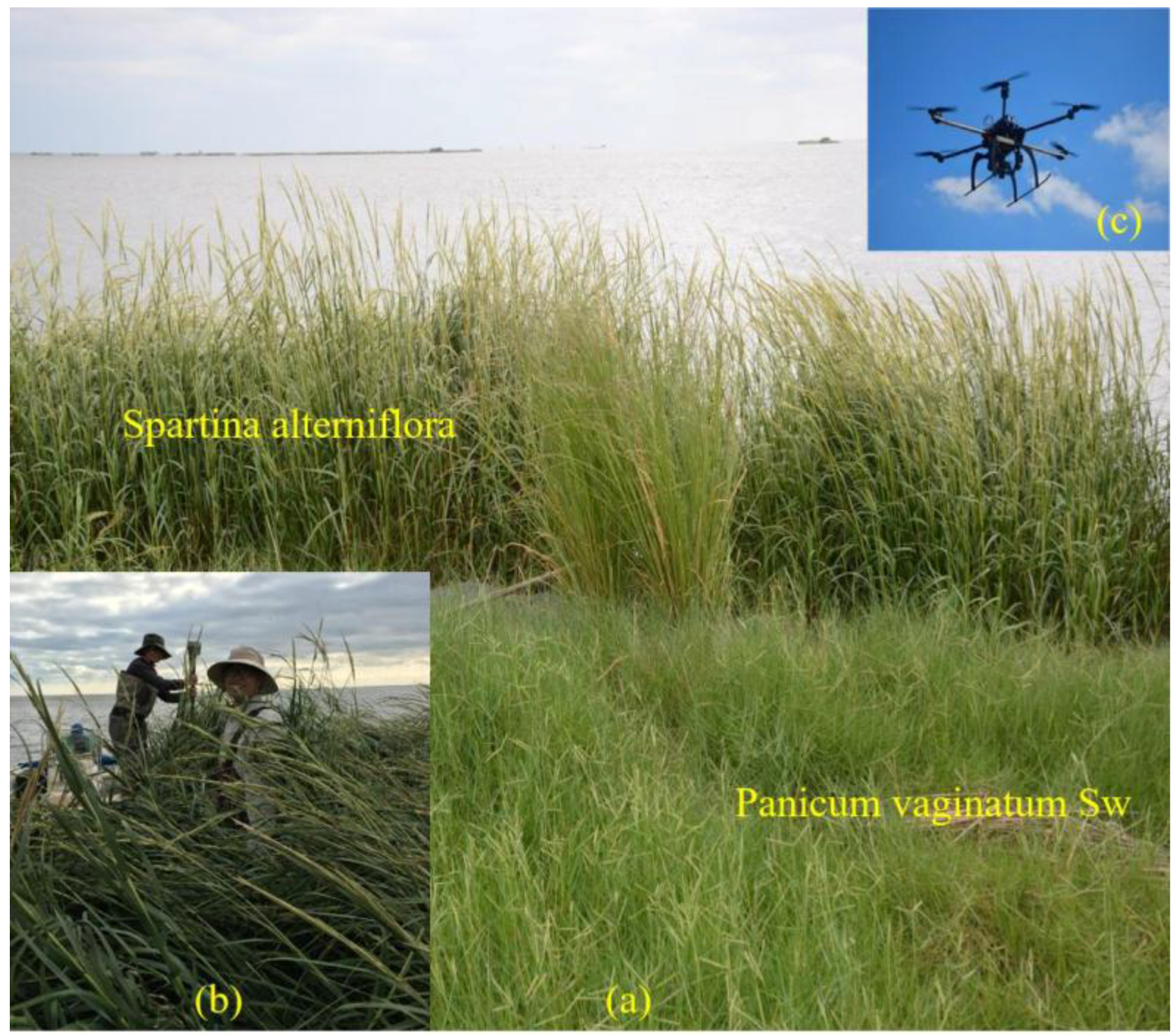 Remotesensing 09 01187 g002 Remotesensing 09 01187 g002