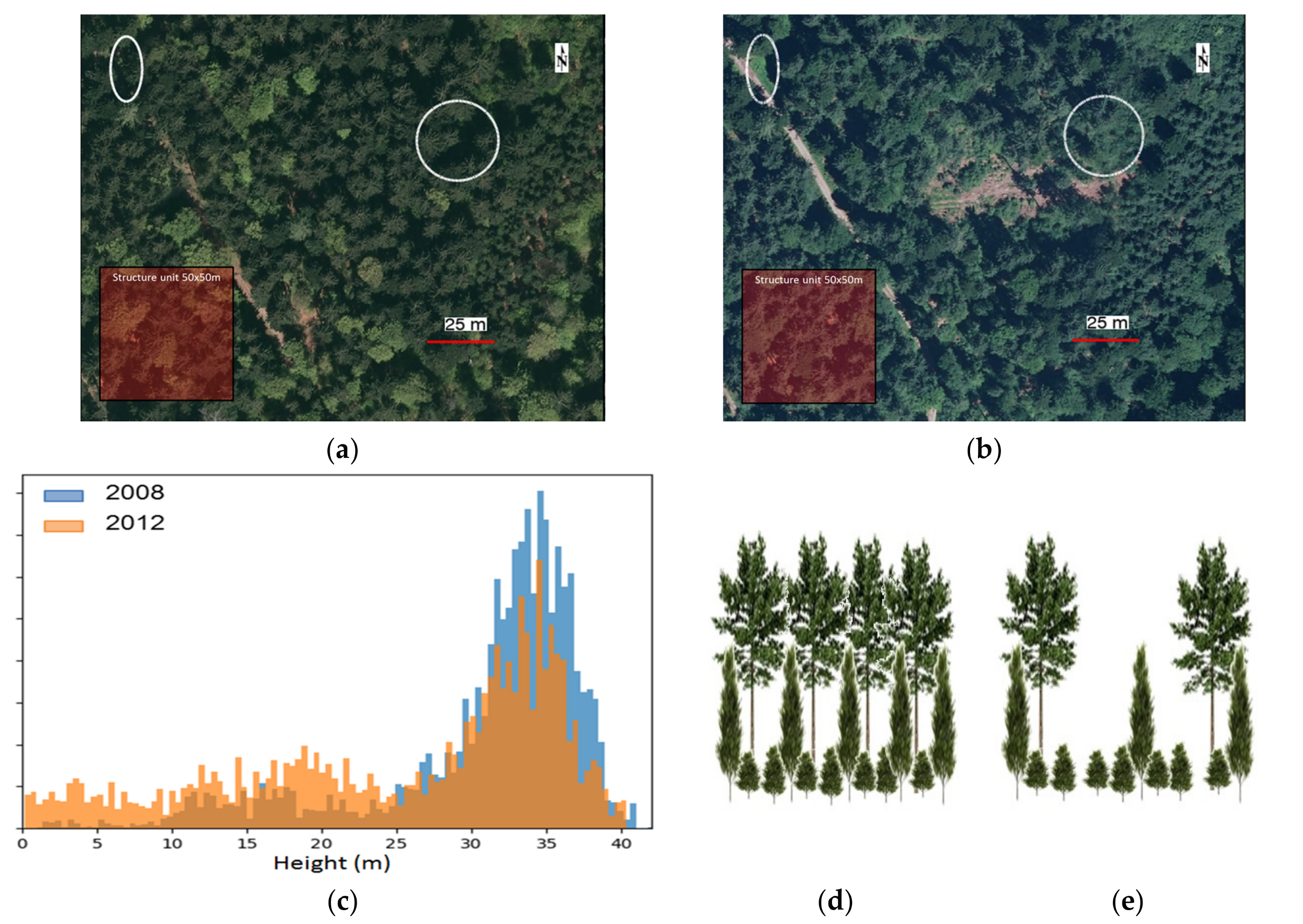 Remotesensing 09 01229 g015