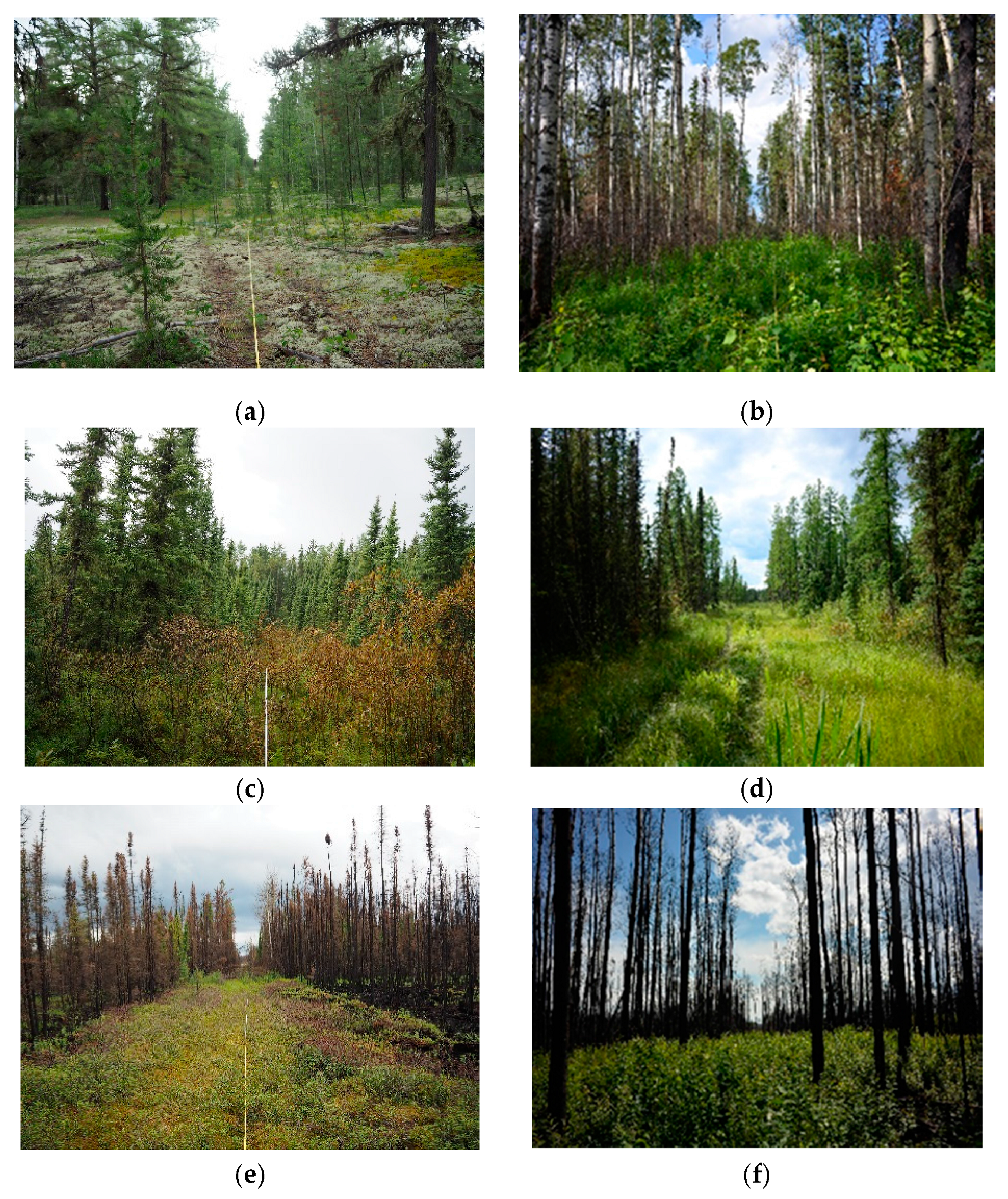 Remotesensing 09 01257 g002 Remotesensing 09 01257 g002