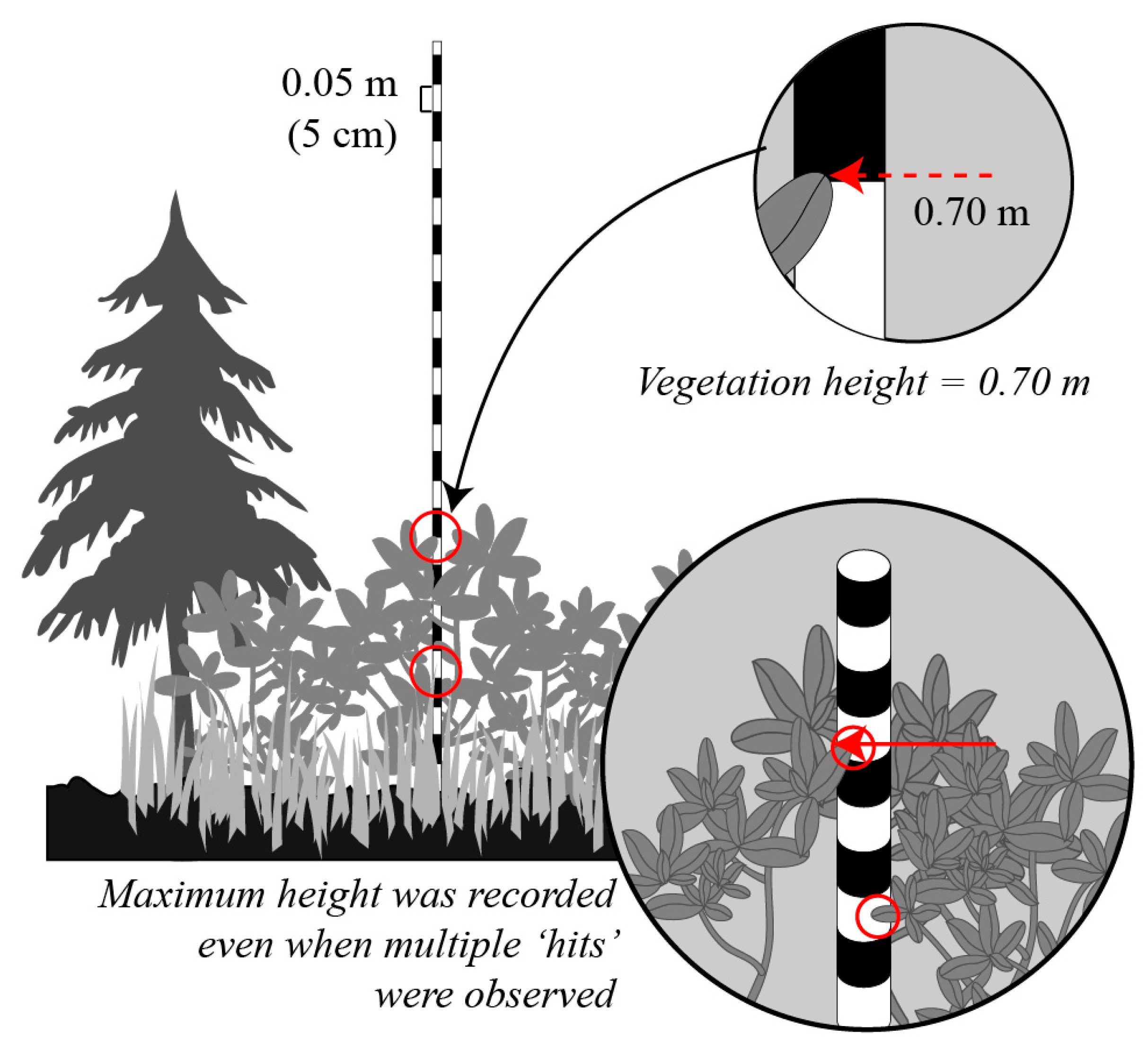 Remotesensing 09 01257 g004 Remotesensing 09 01257 g004
