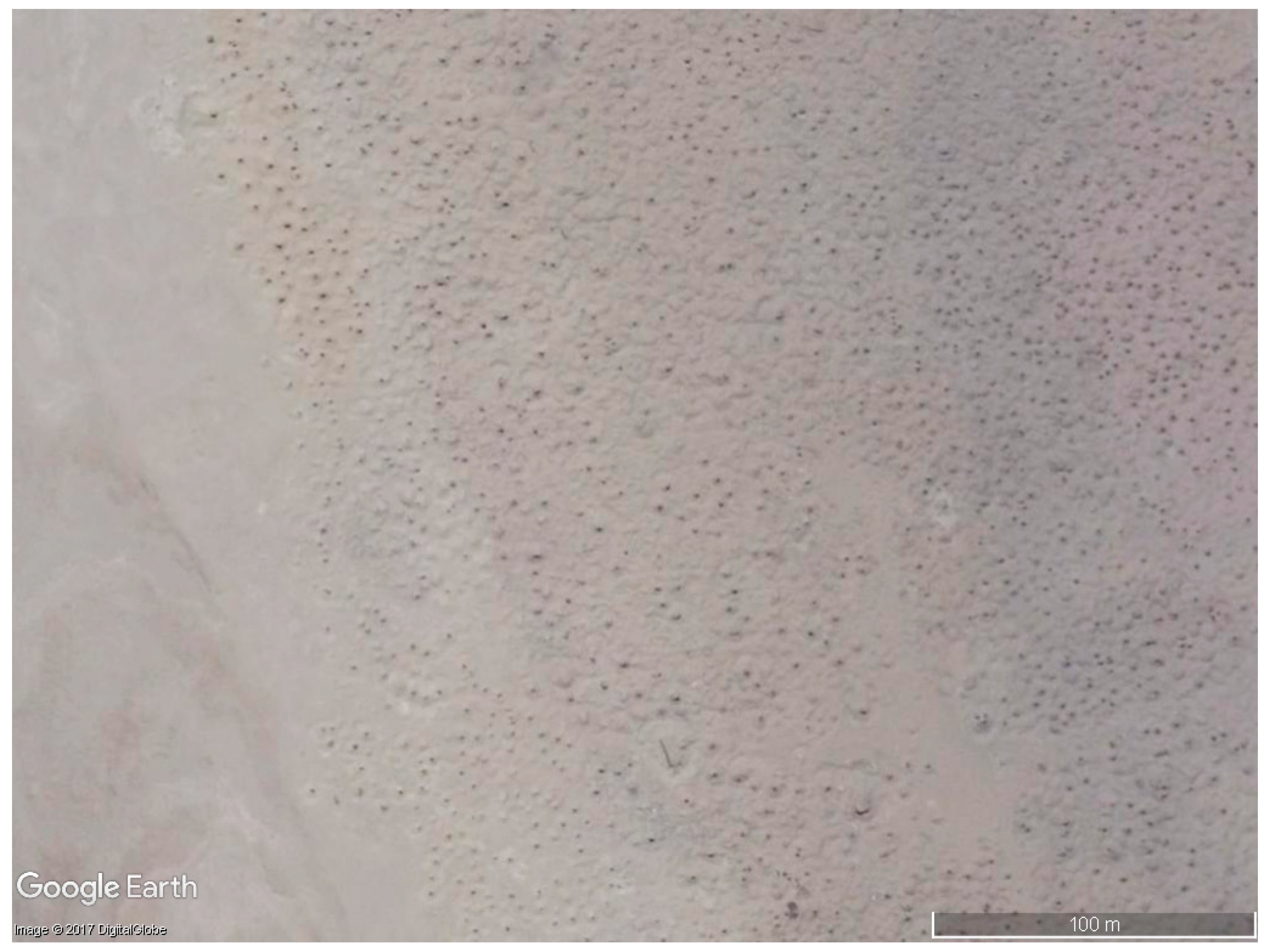 Remotesensing 09 01297 g002