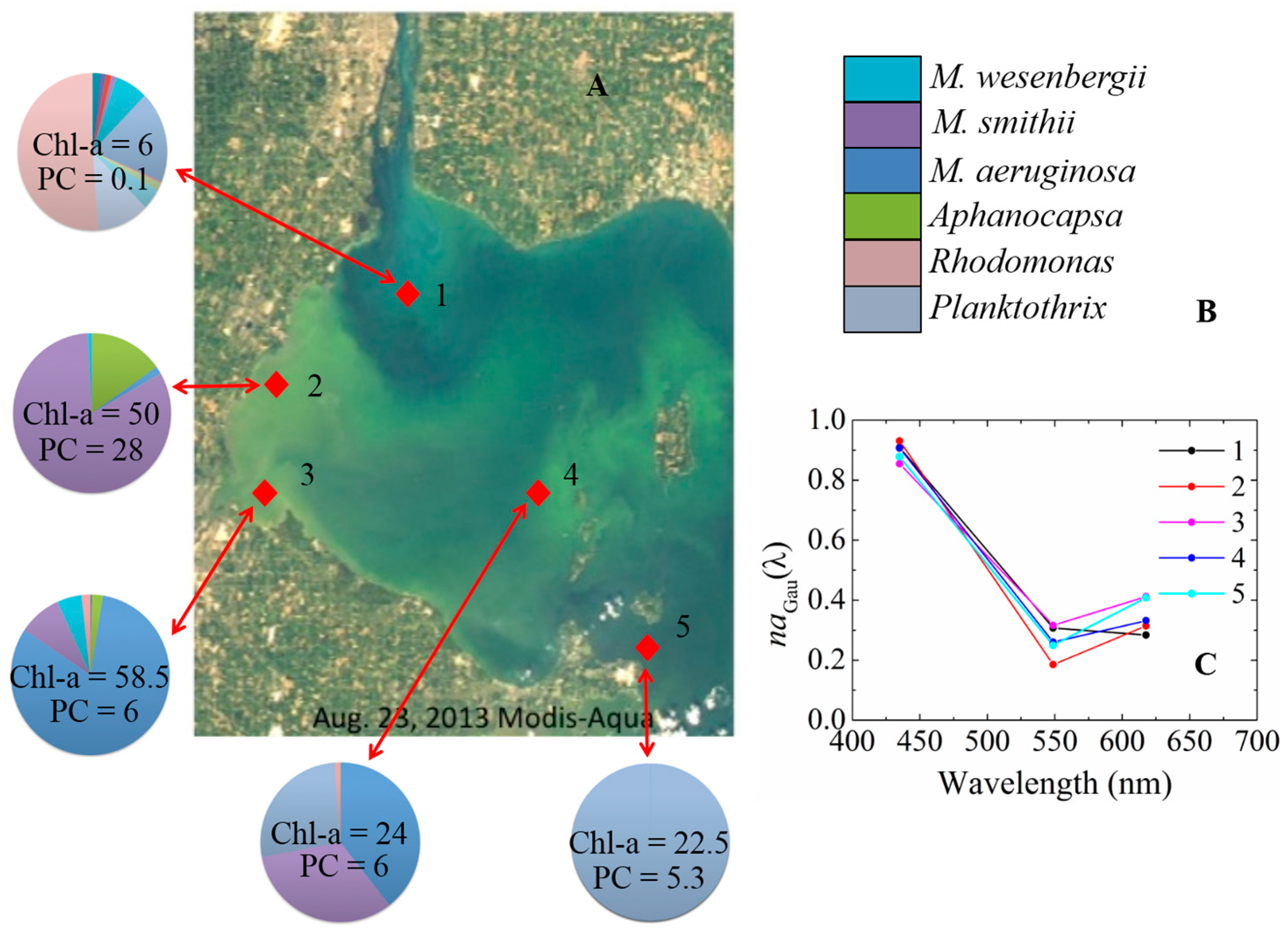 Remotesensing 09 01309 g008 Remotesensing 09 01309 g008
