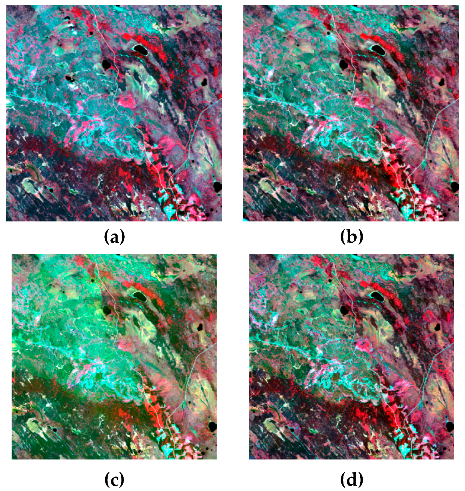 Remotesensing 09 01310 g006
