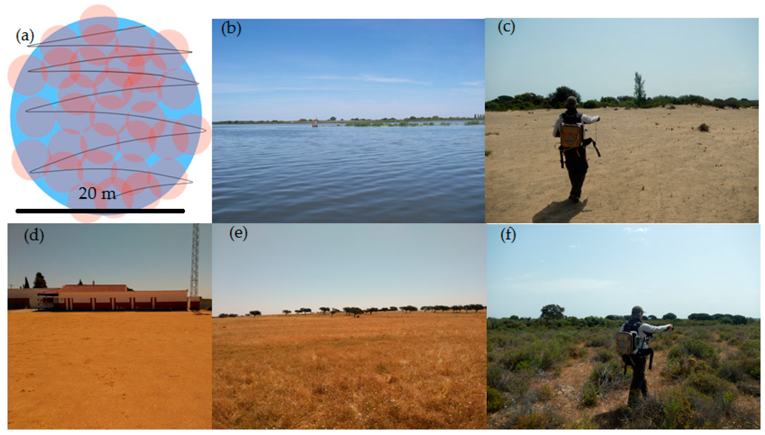 Remotesensing 09 01319 g003 Remotesensing 09 01319 g003