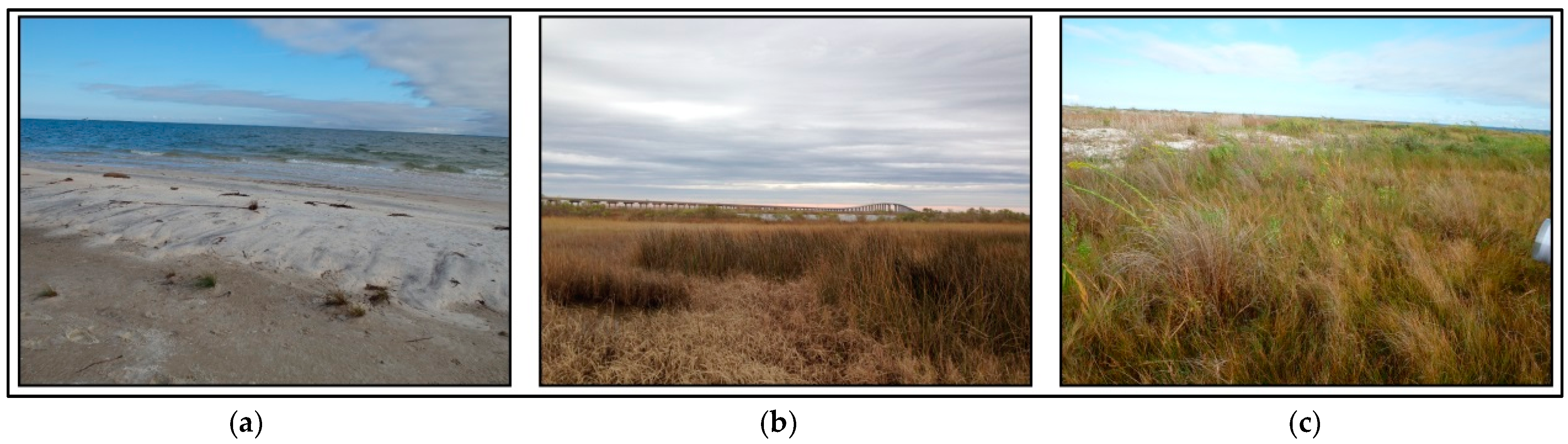 Remotesensing 10 00005 g003 Remotesensing 10 00005 g003