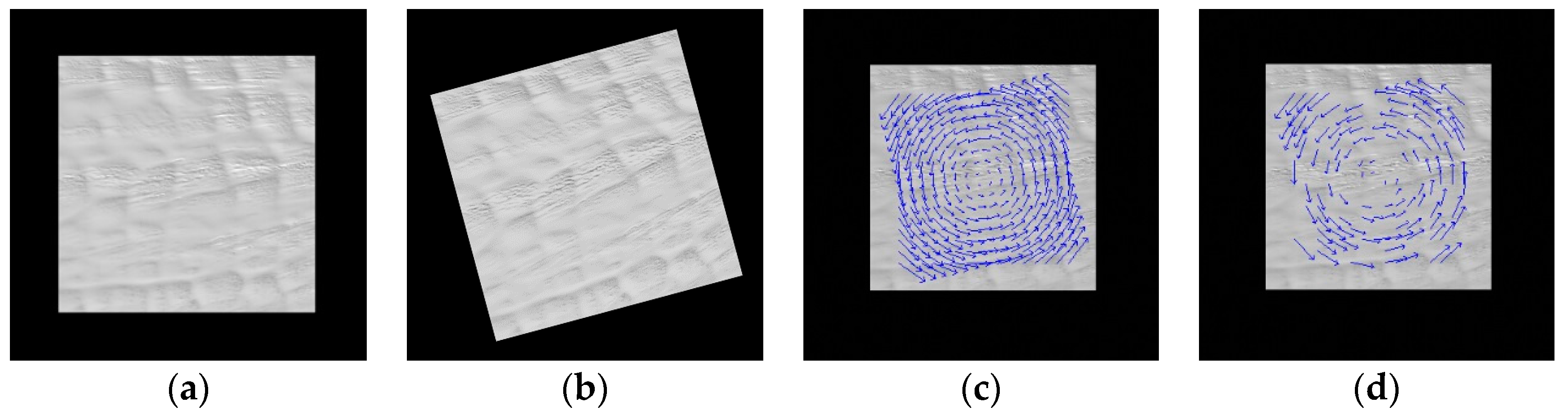 Remotesensing 10 00042 g006