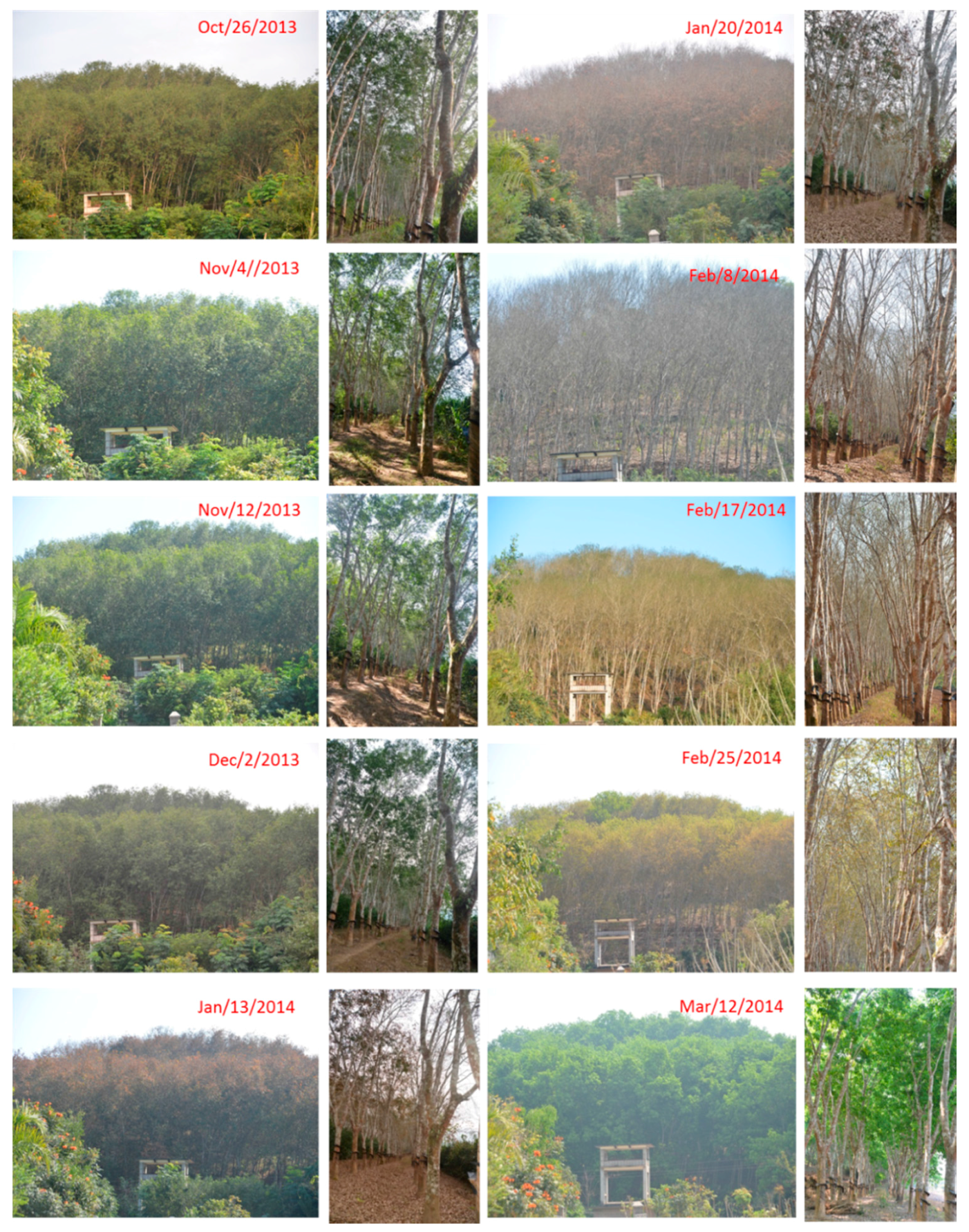 Remotesensing 10 00044 g004