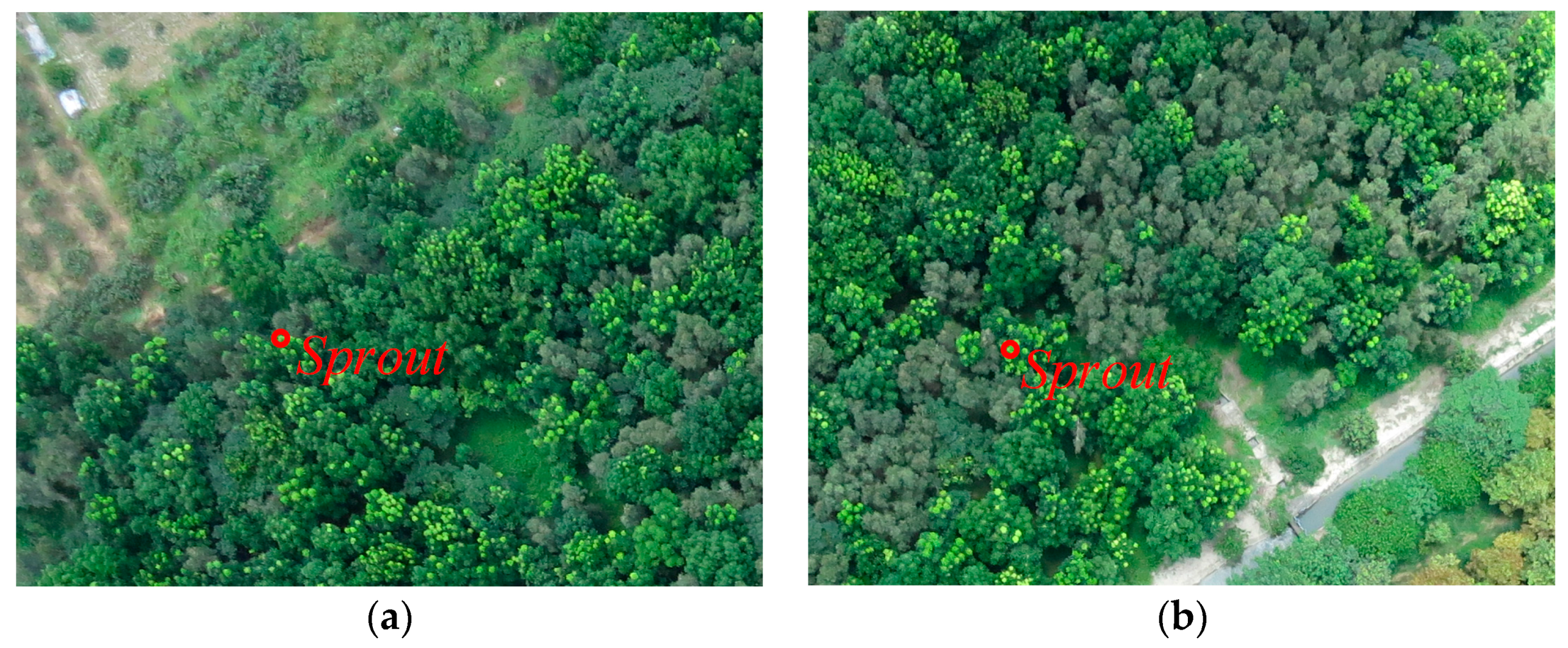 Remotesensing 10 00096 g011