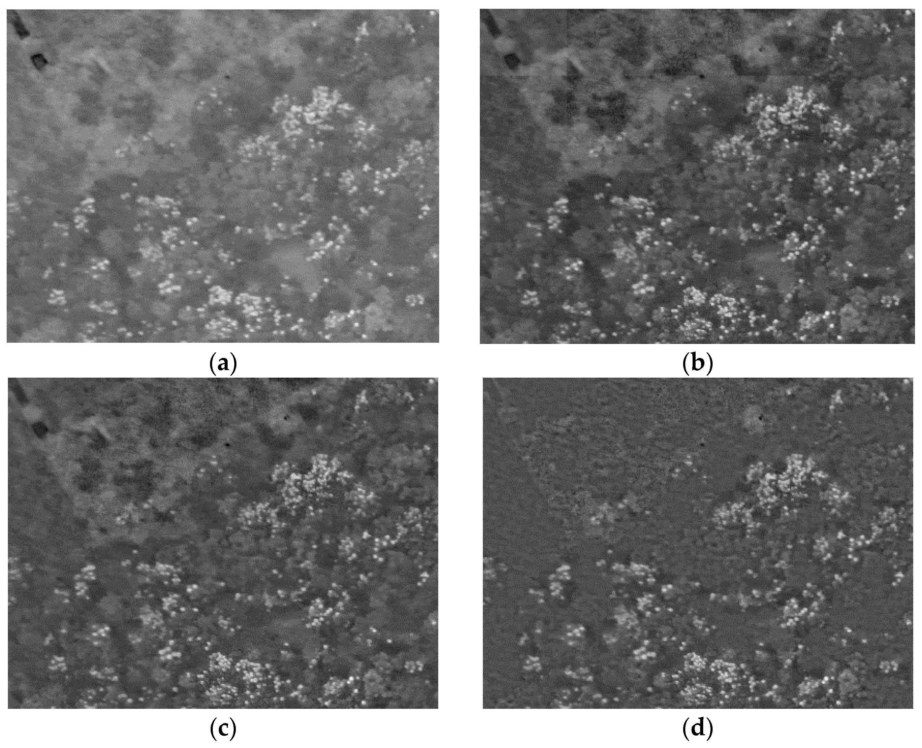 Remotesensing 10 00096 g014