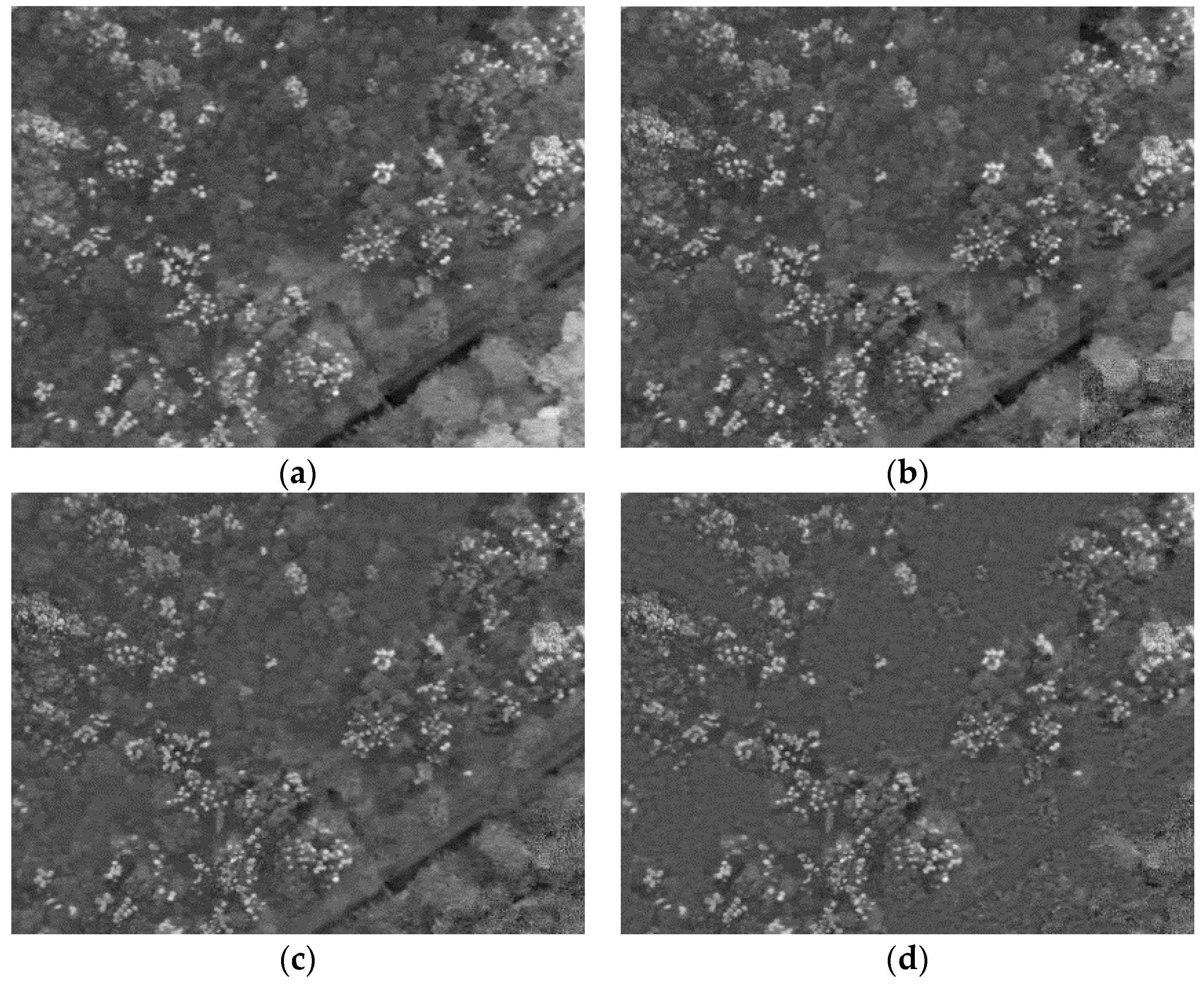 Remotesensing 10 00096 g016