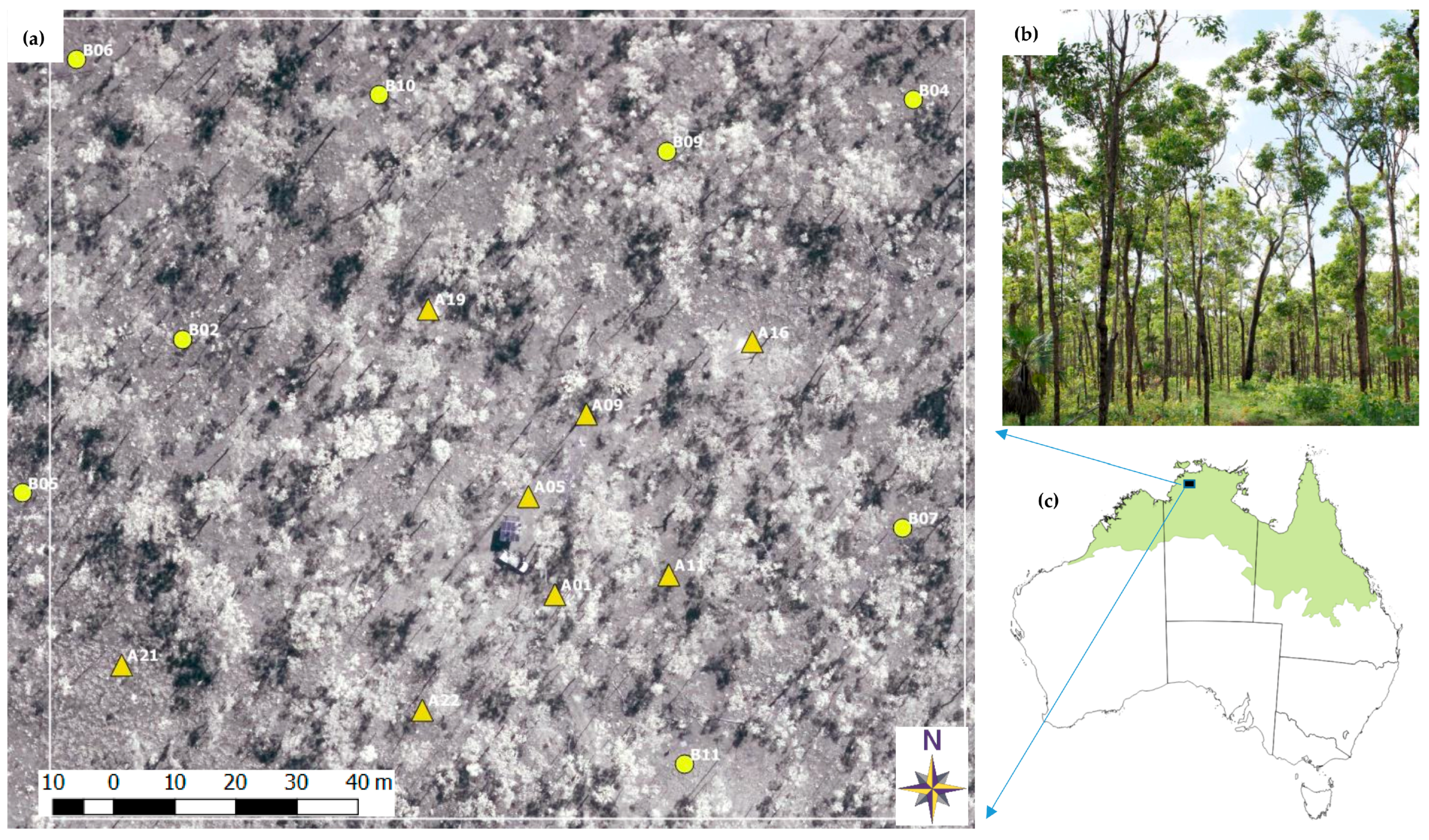 Remotesensing 10 00161 g002