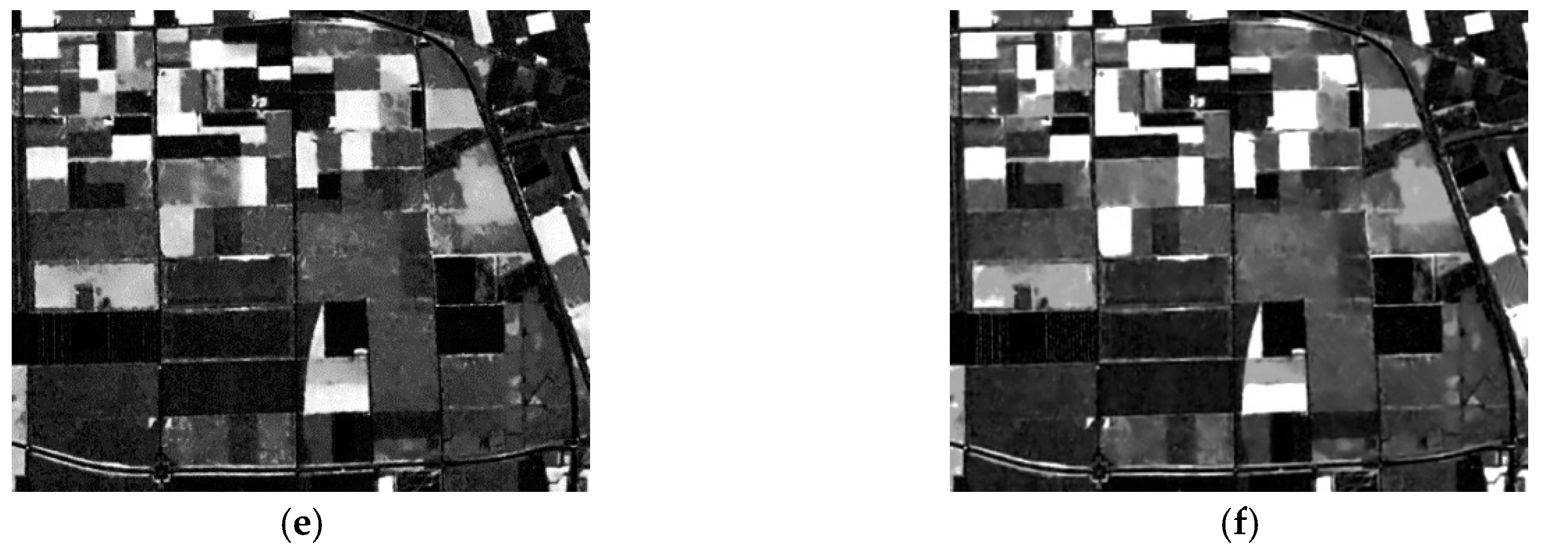 Remotesensing 10 00196 g009b