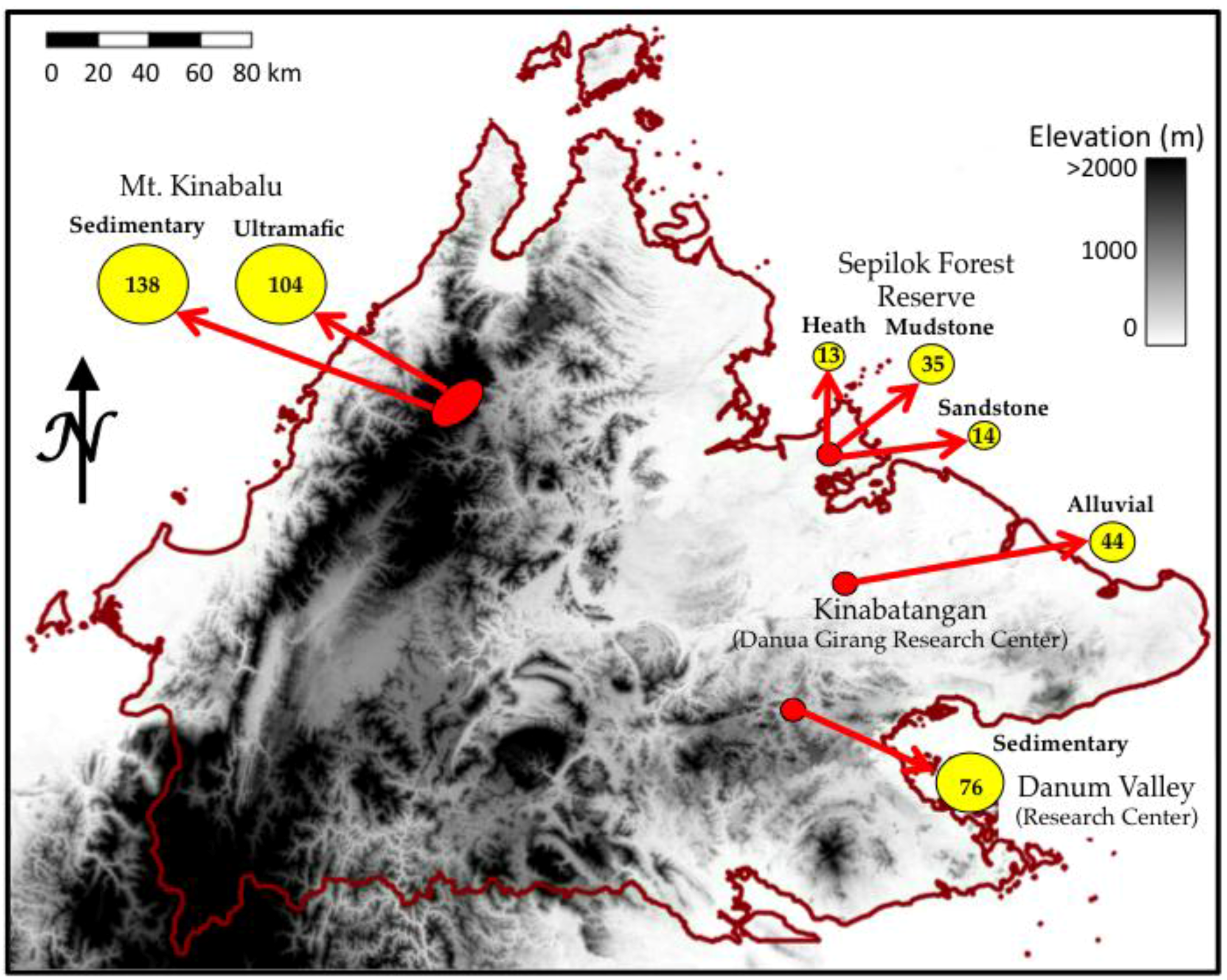 Remotesensing 10 00199 g001